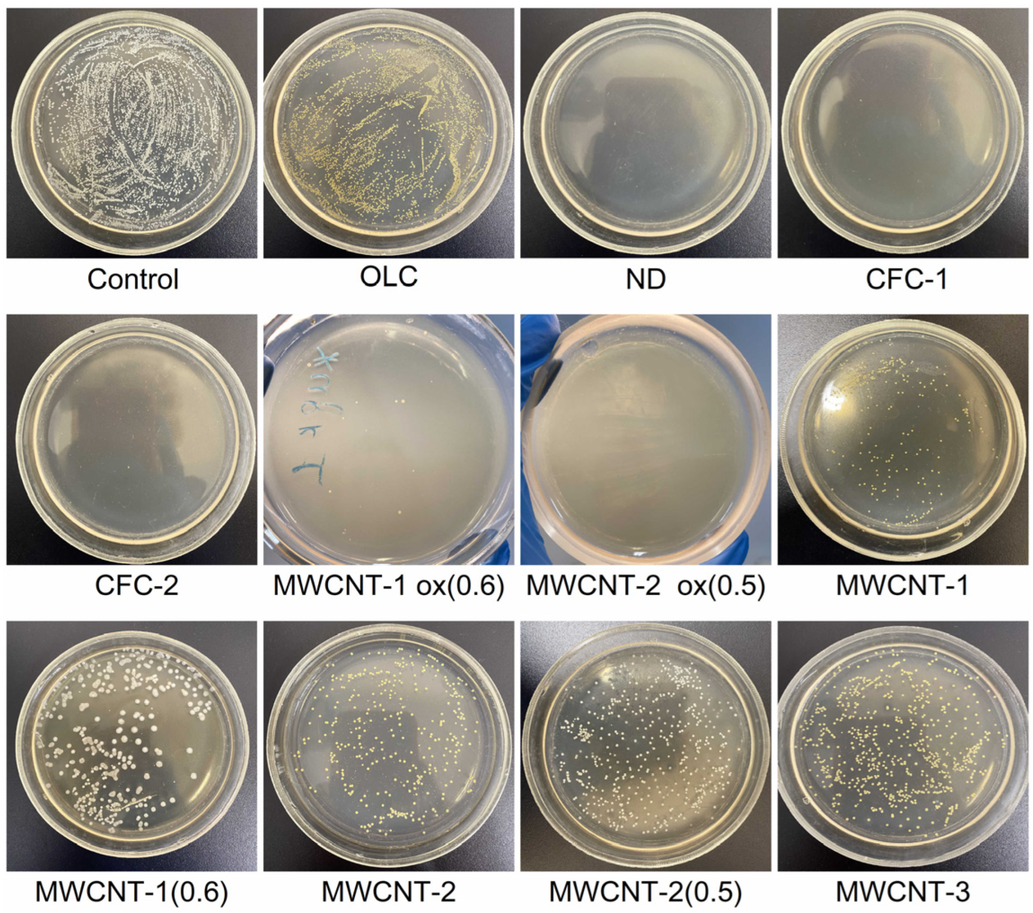 Materials 16 00957 g003