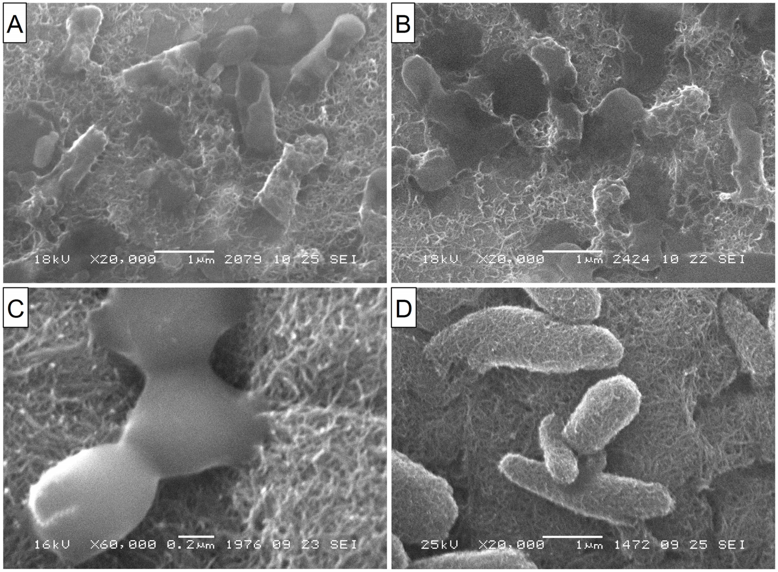 Materials 16 00957 g007