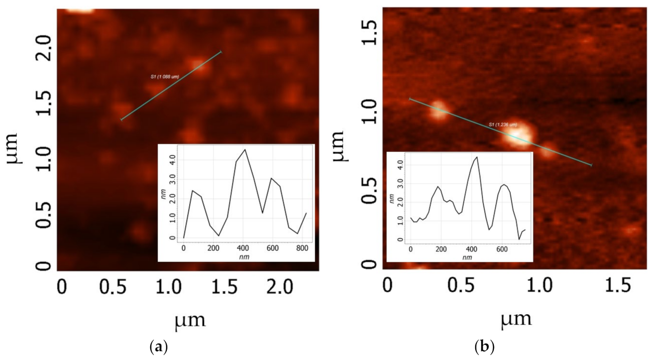 Materials 16 00958 g005