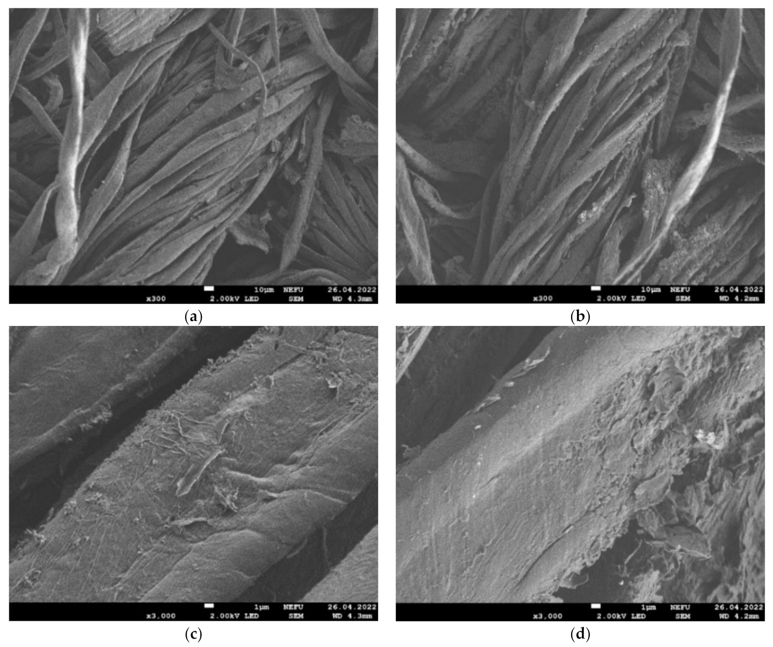 Materials 16 00958 g007