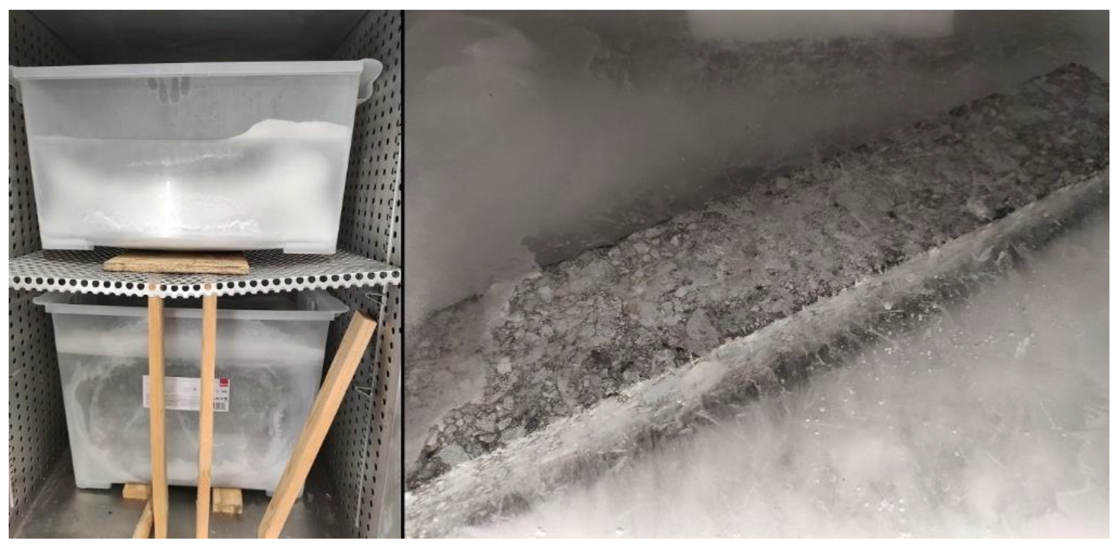 Materials 16 00966 g003 550