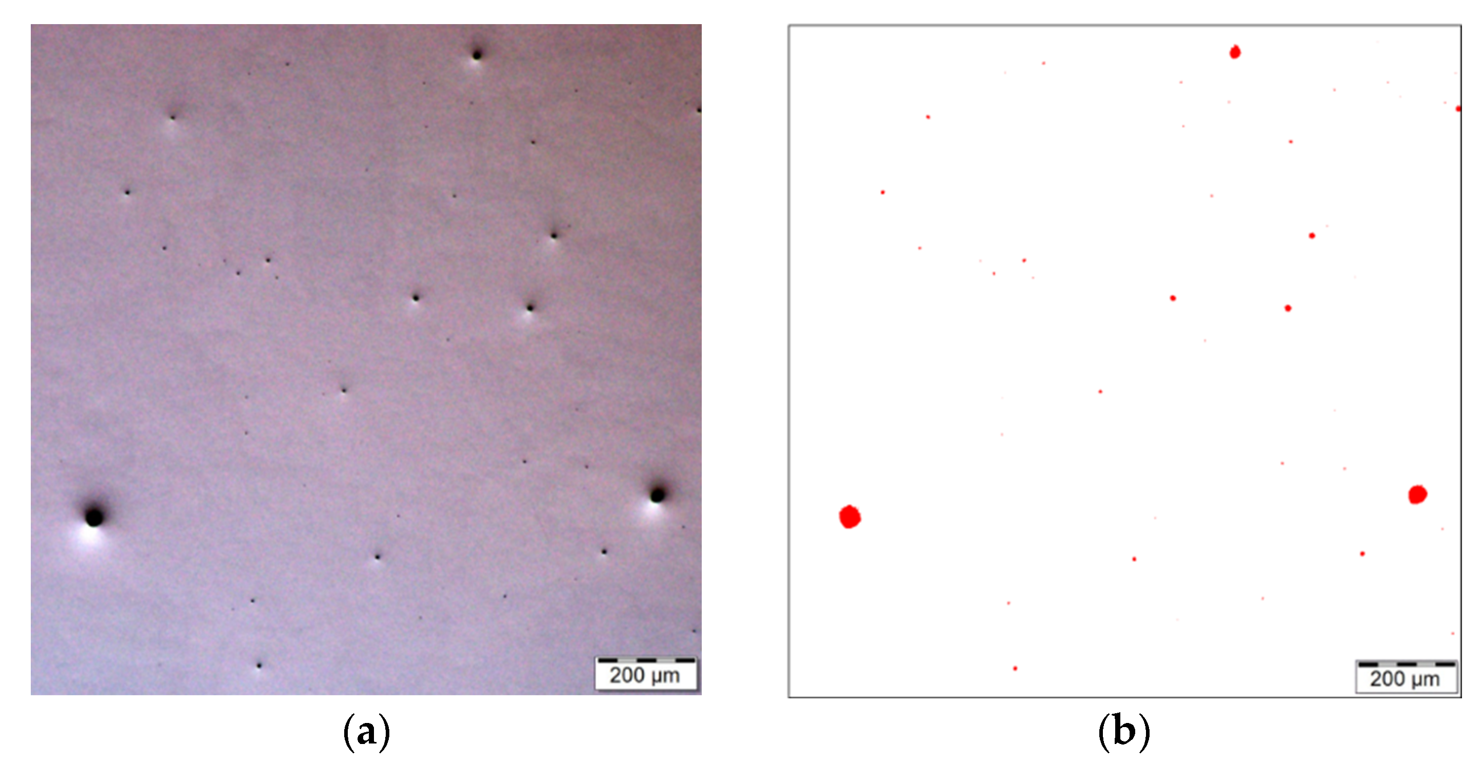 Materials 16 00977 g006a Materials 16 00977 g006a