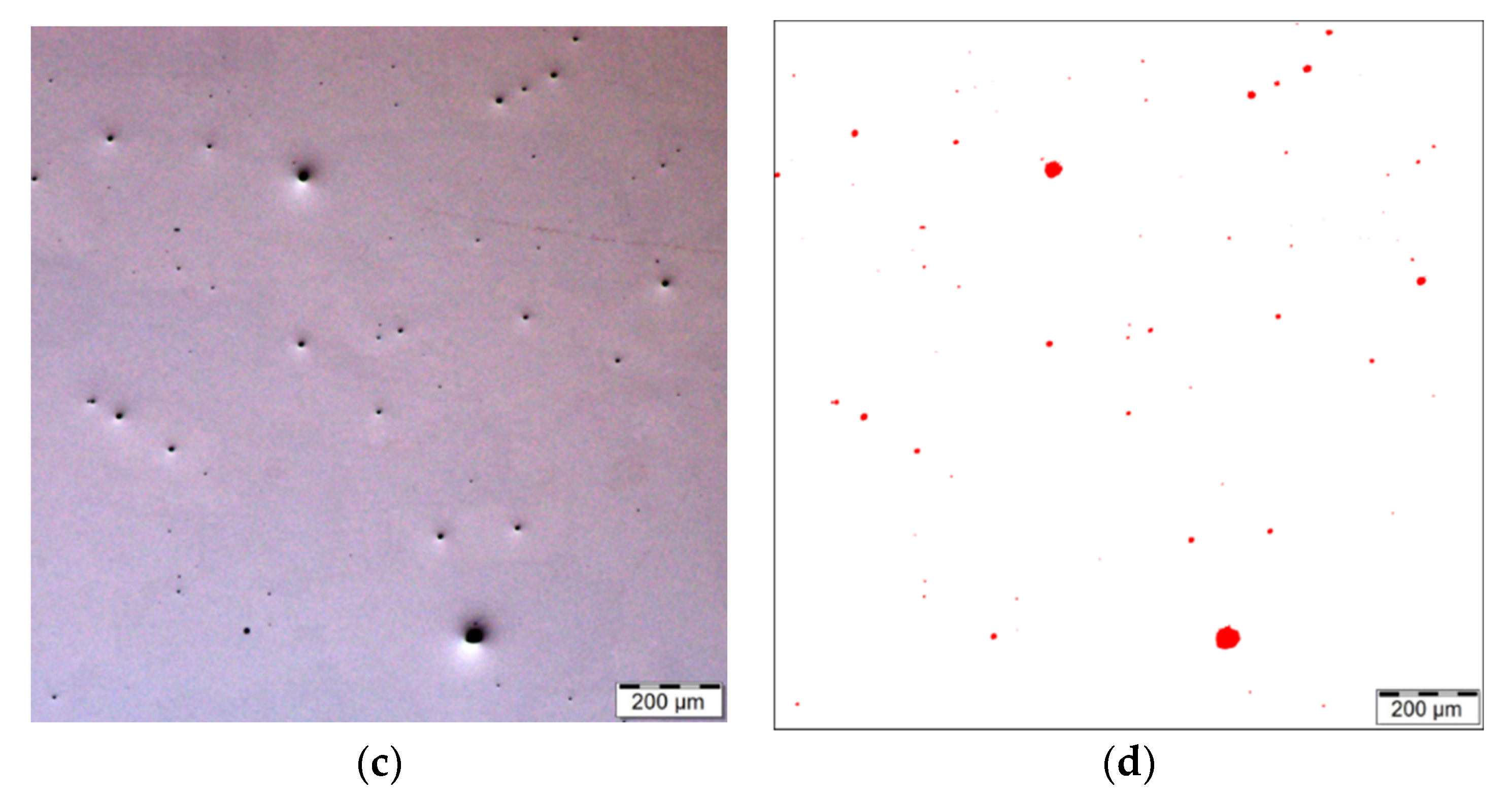 Materials 16 00977 g006b Materials 16 00977 g006b