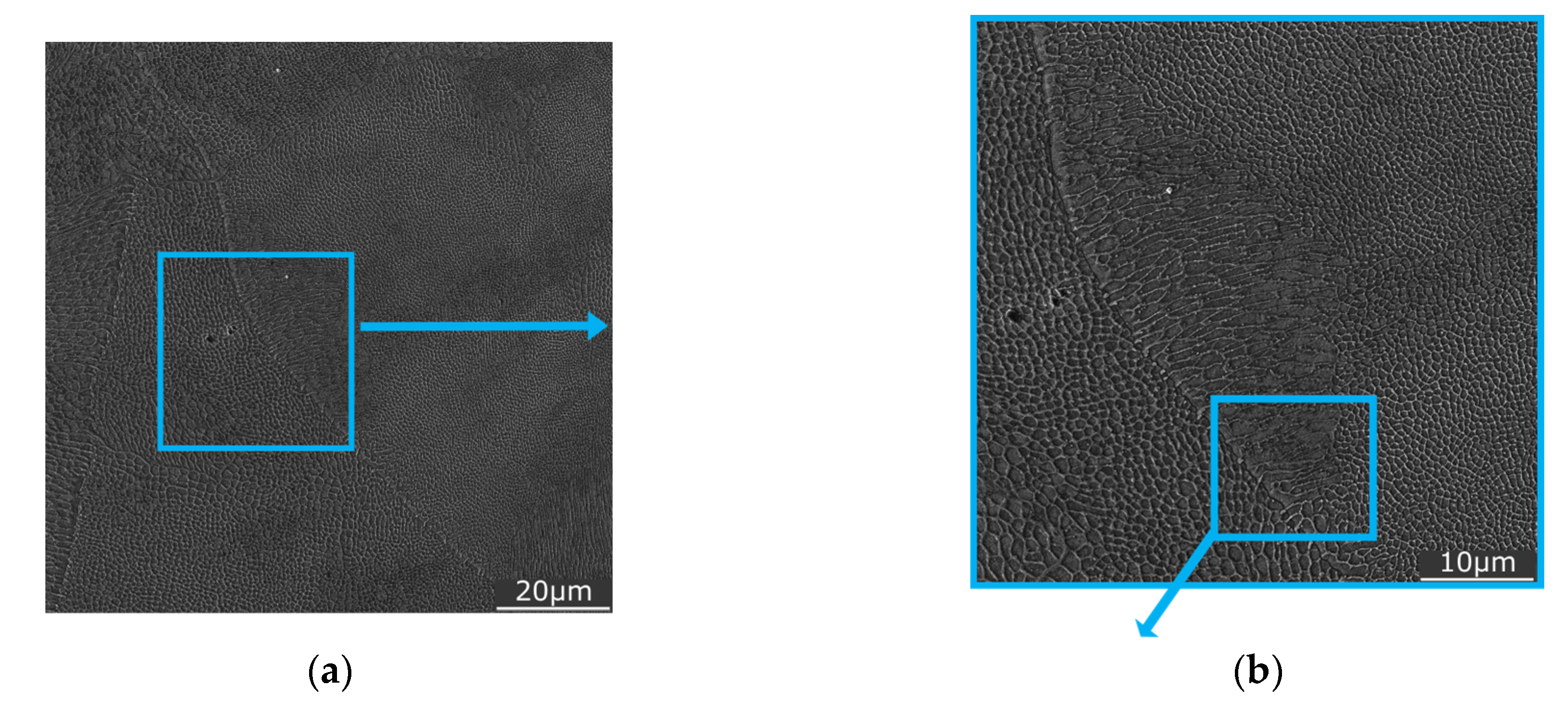 Materials 16 00977 g009a Materials 16 00977 g009a