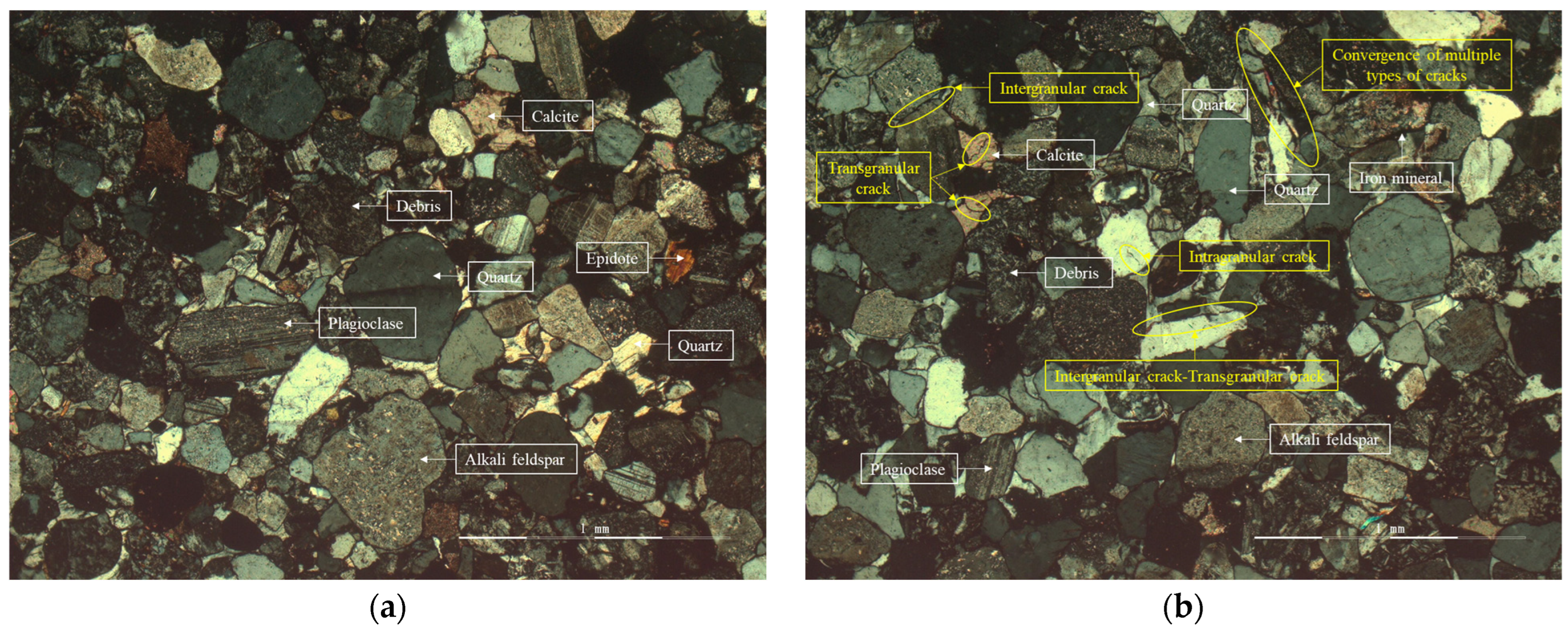 Materials 16 00979 g006a