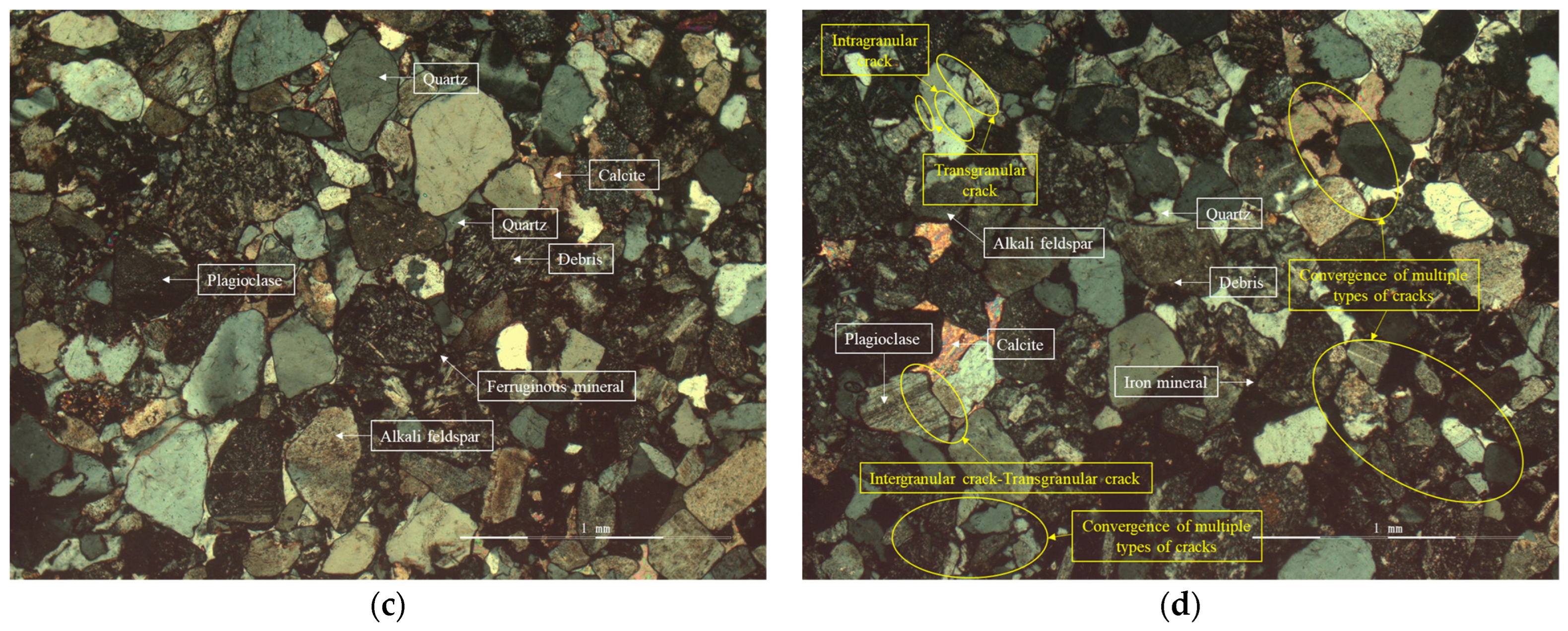 Materials 16 00979 g006b