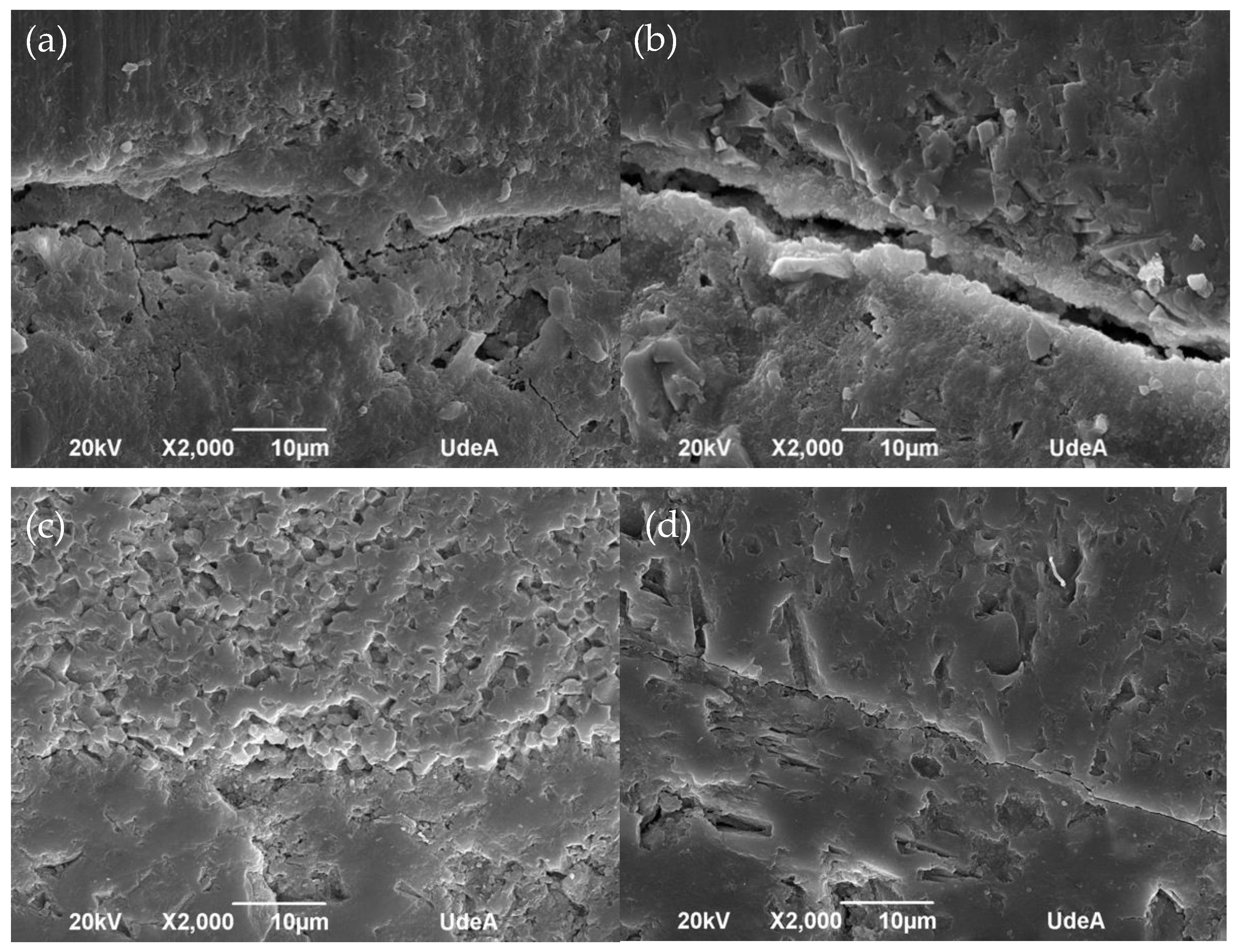 Materials 16 00980 g019
