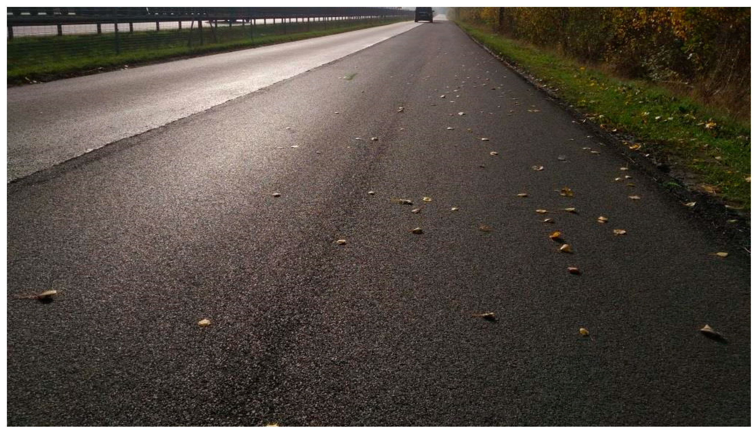 Materials 16 00983 g010