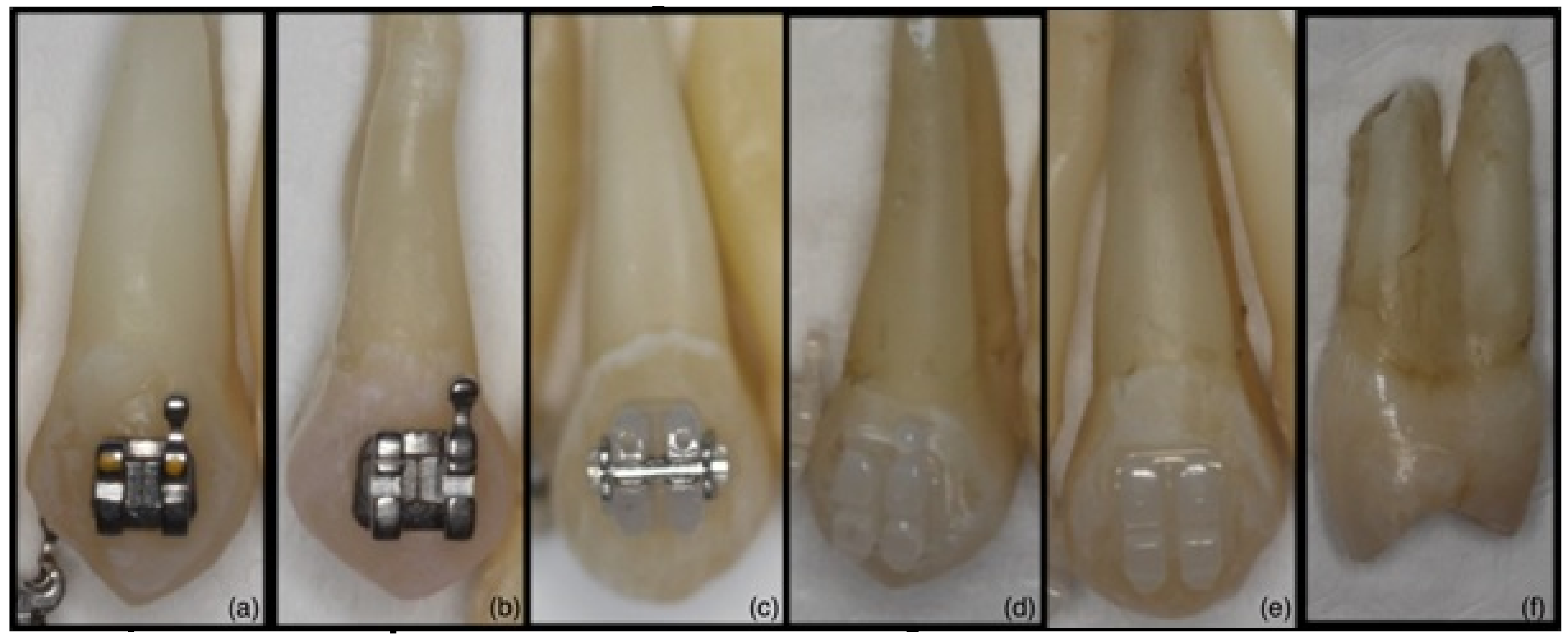 Materials 16 00984 g001 Materials 16 00984 g001