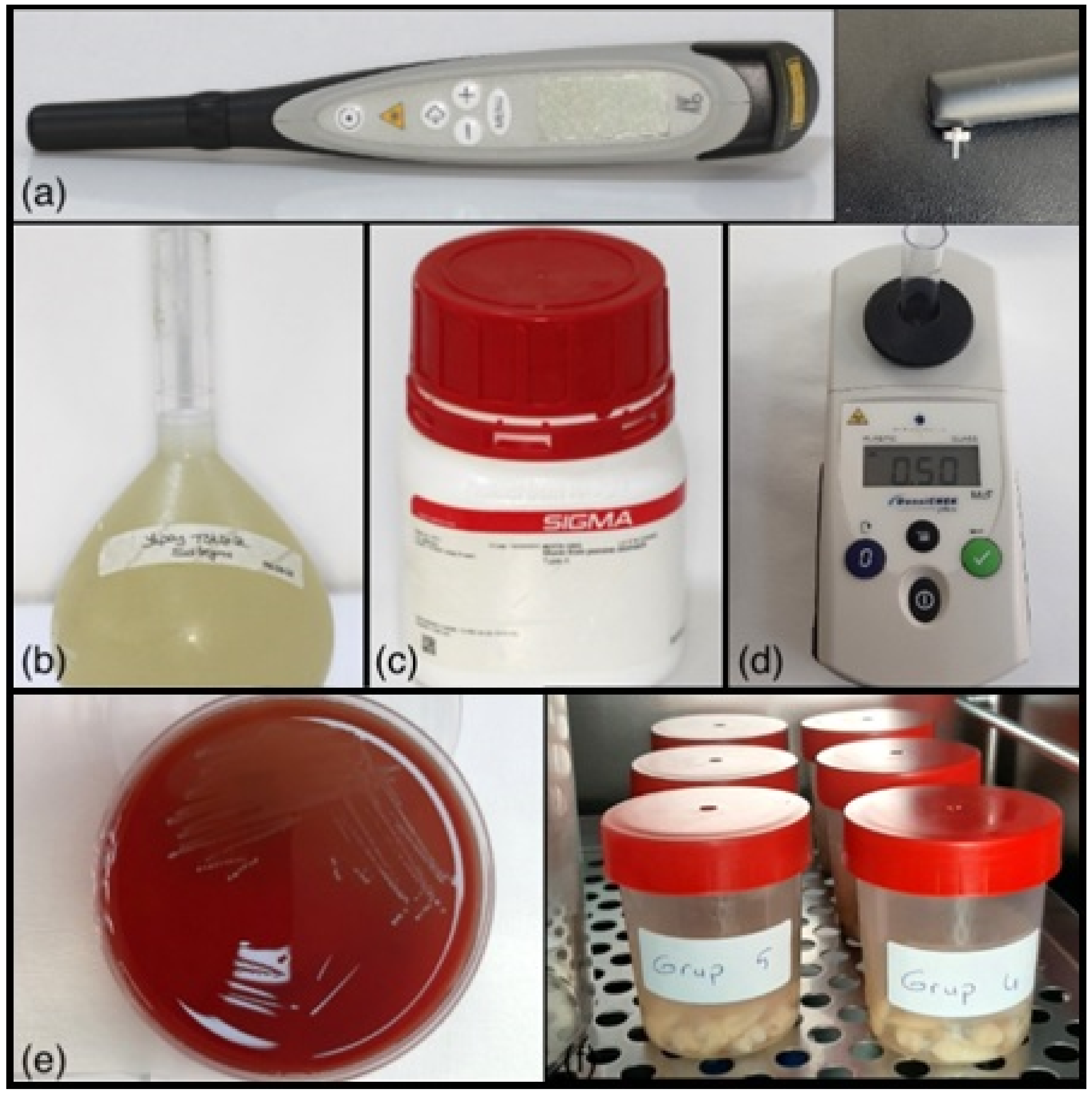 Materials 16 00984 g002 Materials 16 00984 g002