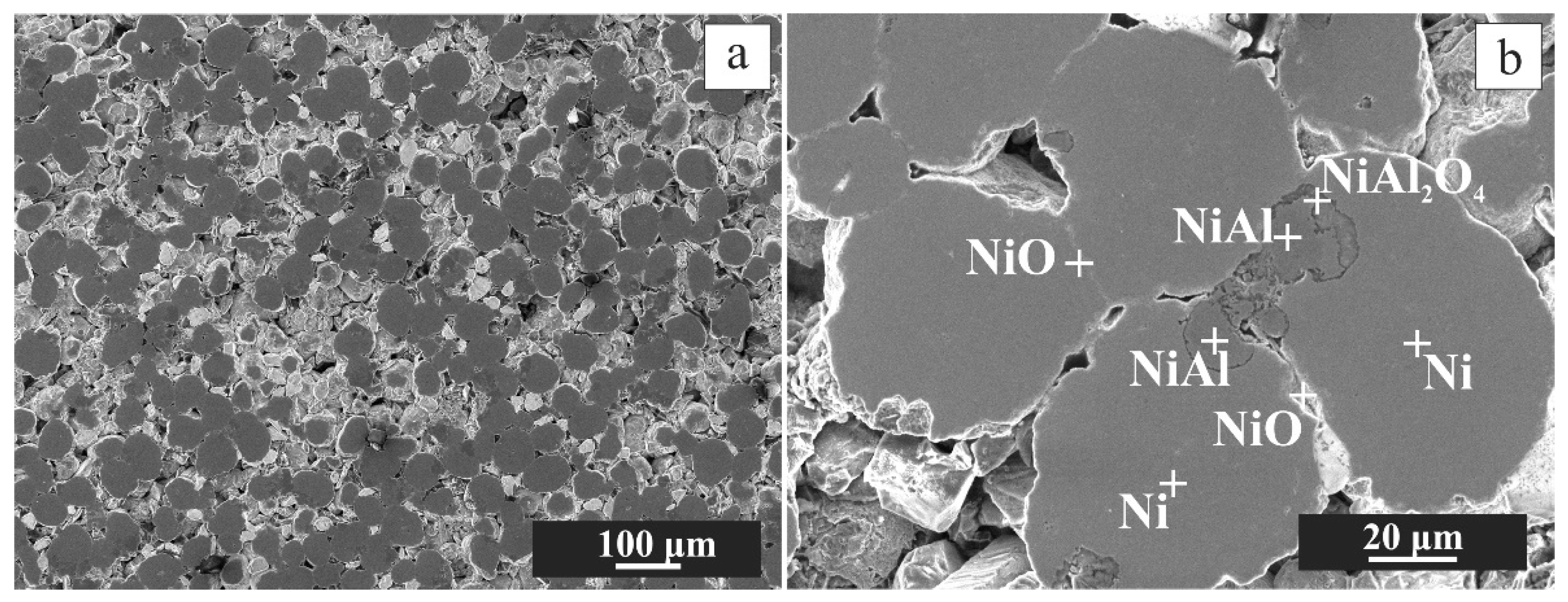 Materials 16 00988 g016