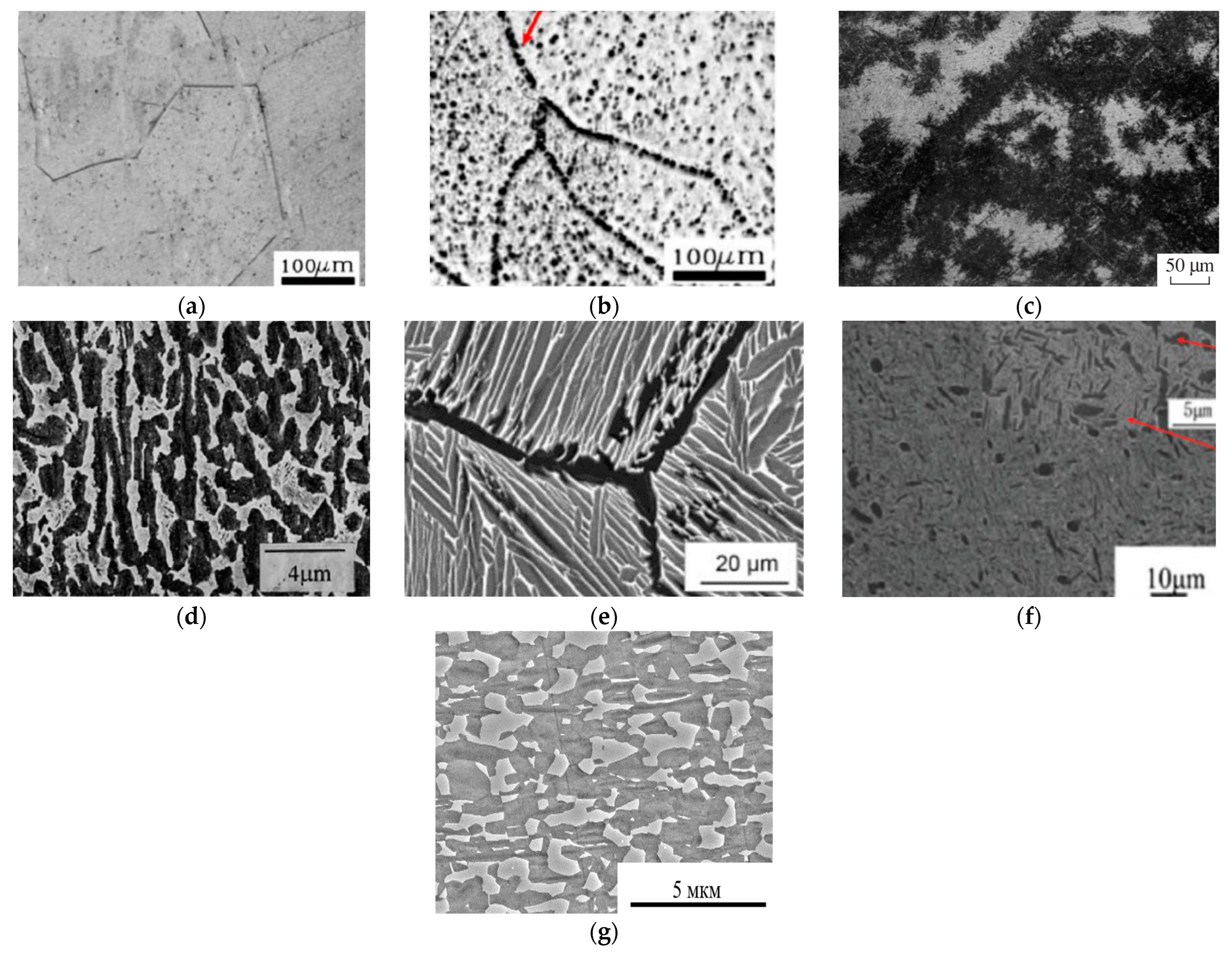 Materials 16 00991 g004