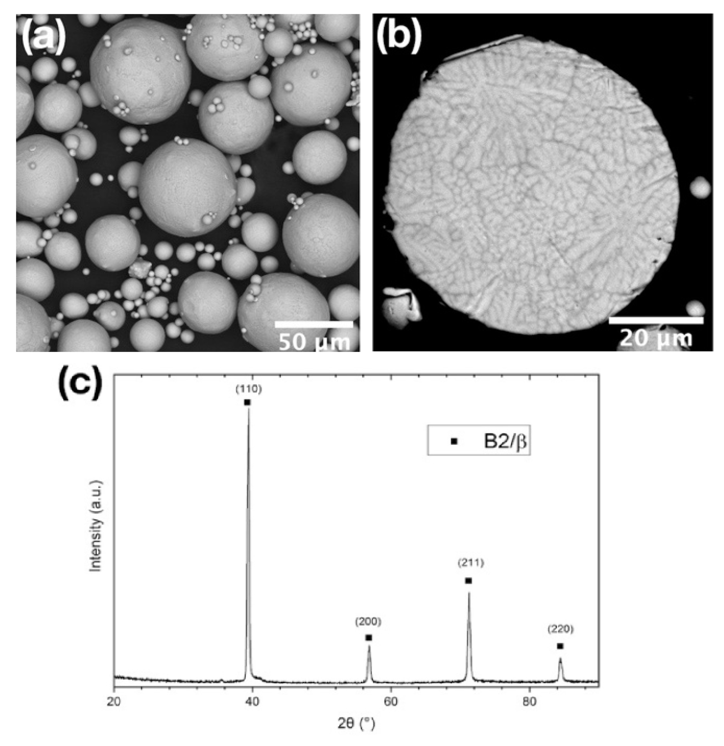 Materials 16 00991 g005