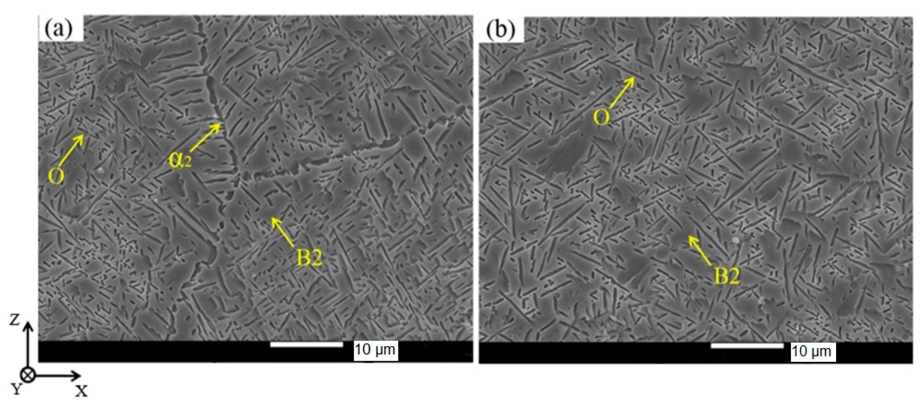 Materials 16 00991 g008