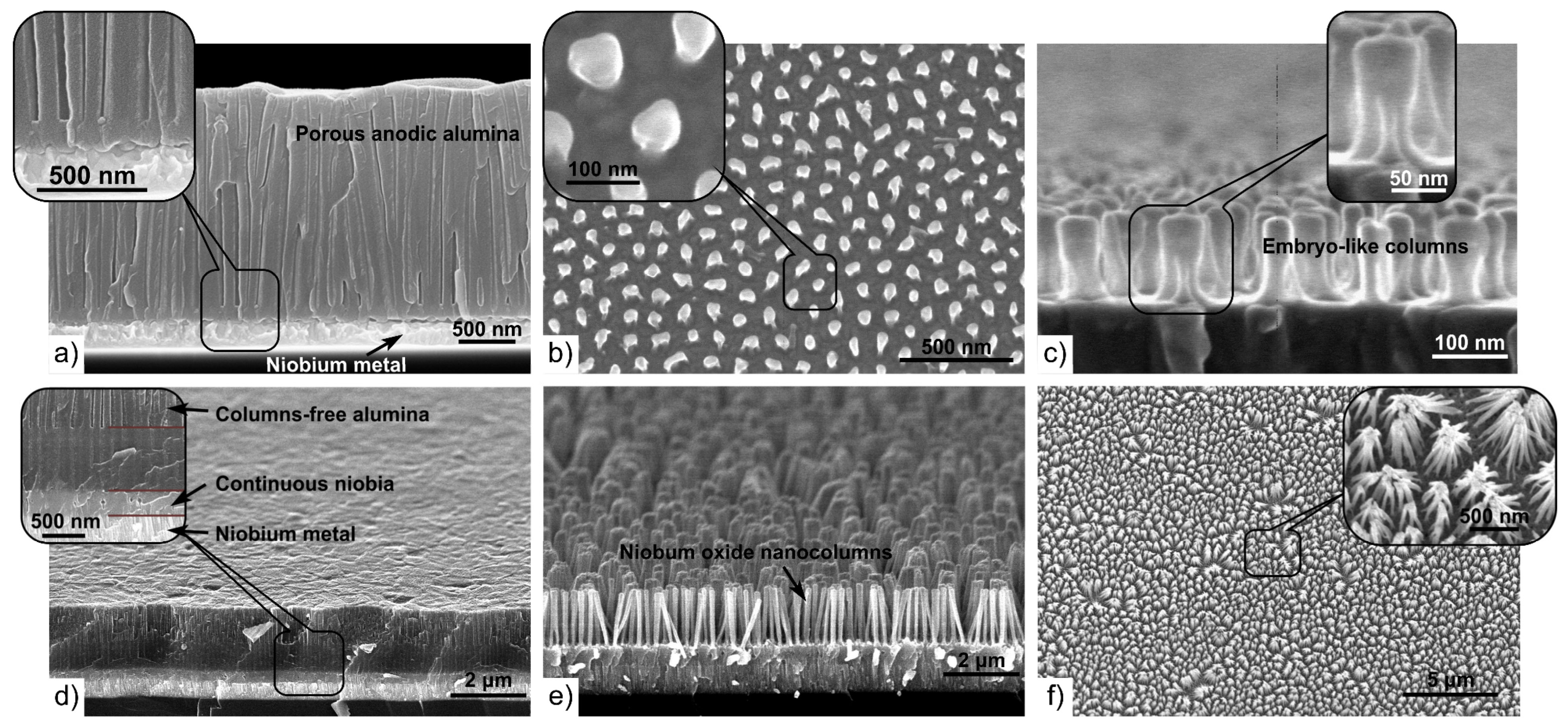 Materials 16 00993 g003 Materials 16 00993 g003