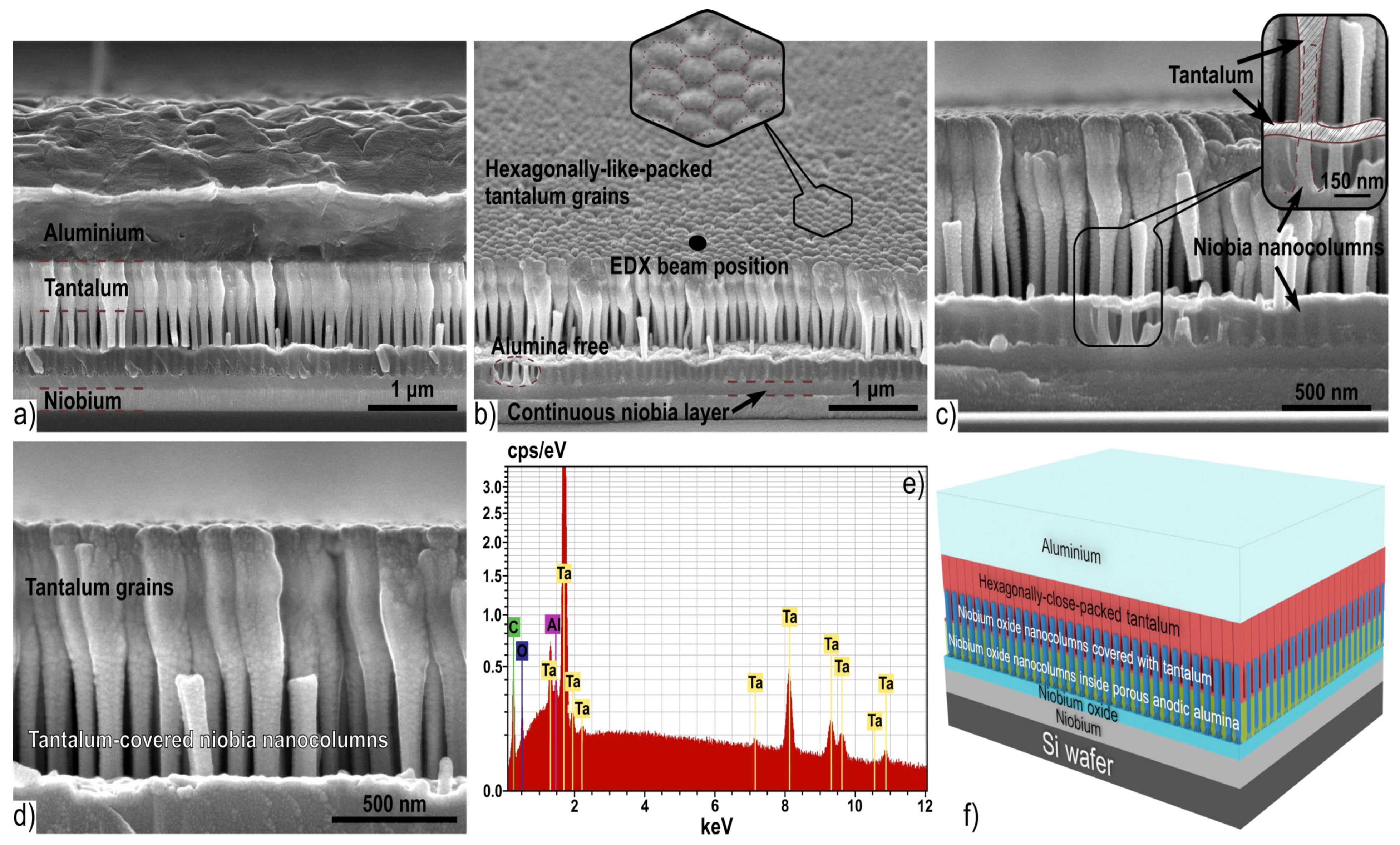 Materials 16 00993 g004 Materials 16 00993 g004