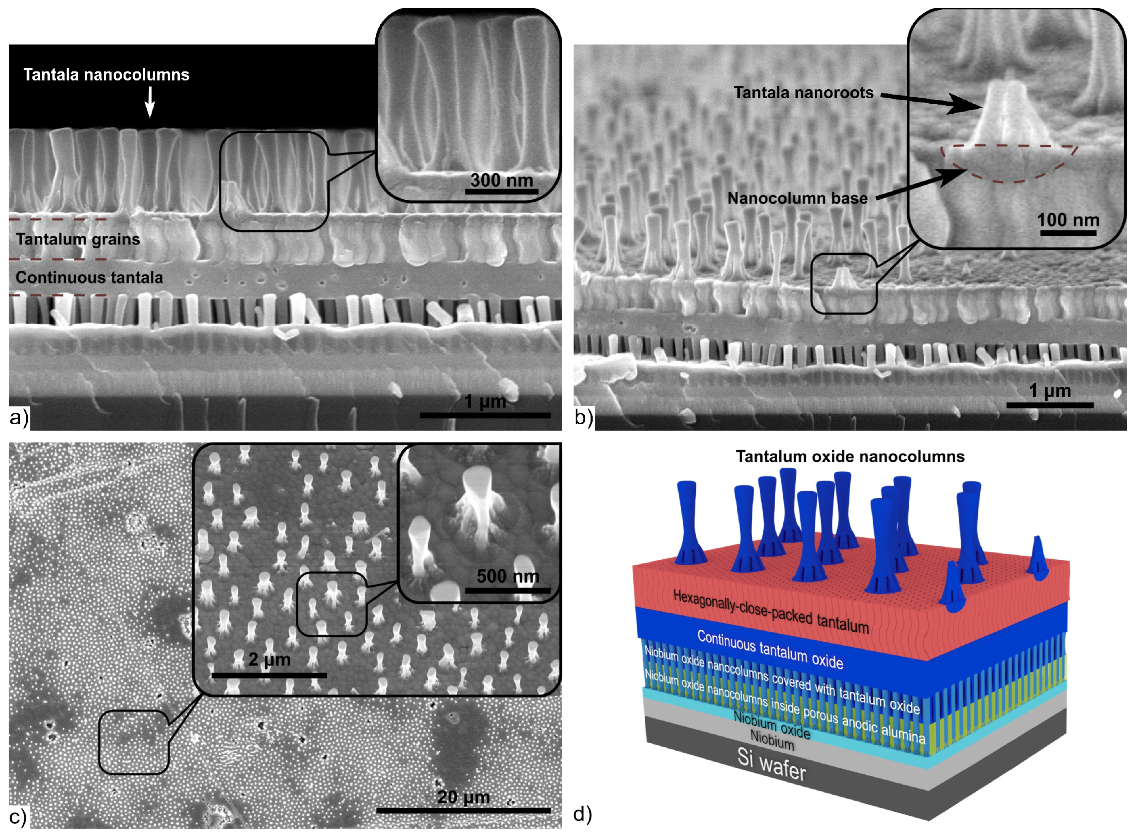 Materials 16 00993 g006 Materials 16 00993 g006