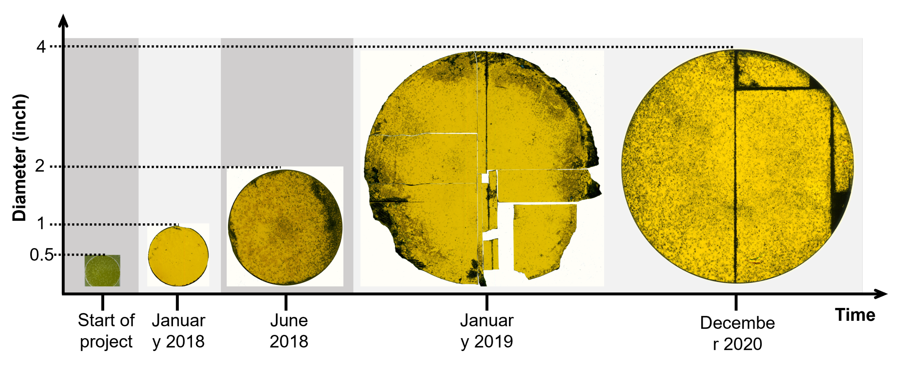 Materials 16 01014 g011