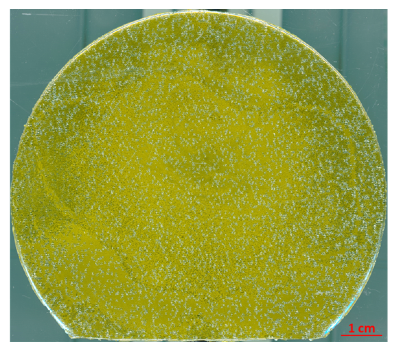 Materials 16 01014 g012