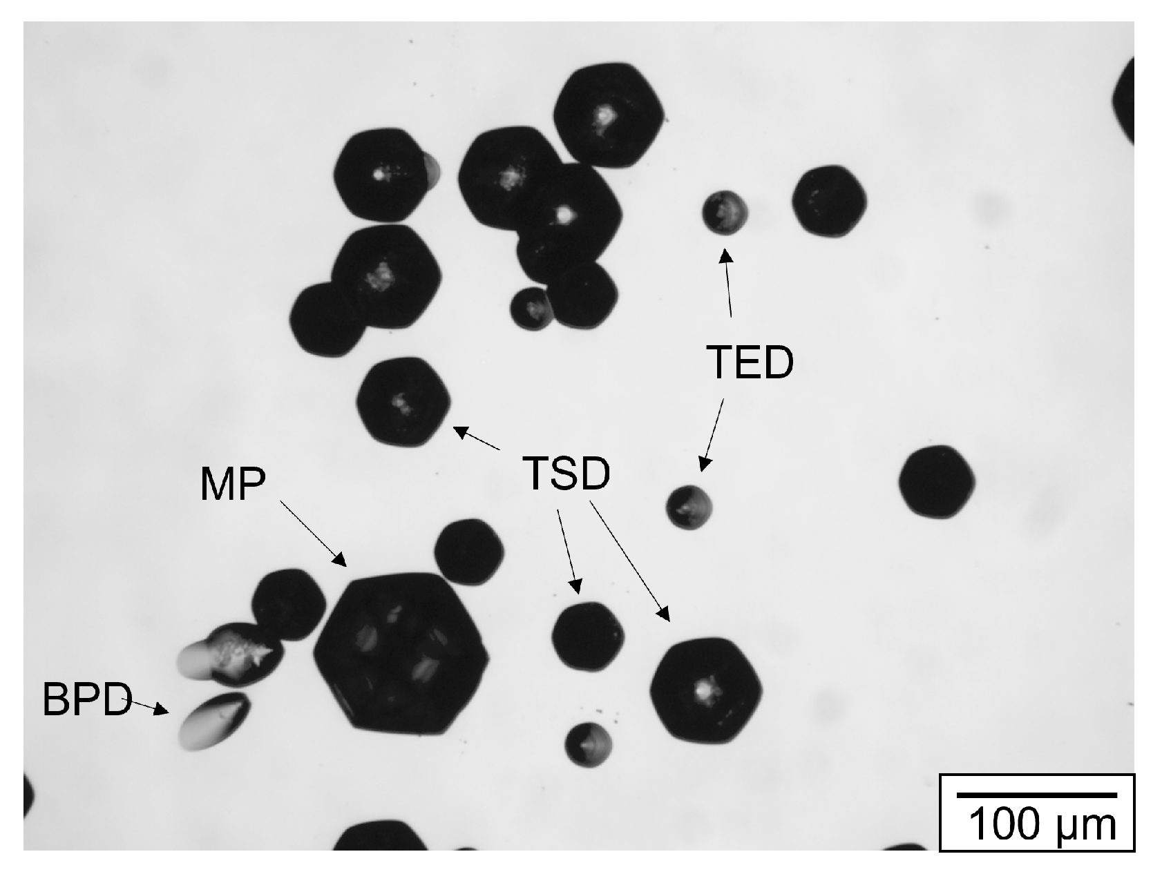 Materials 16 01014 g015