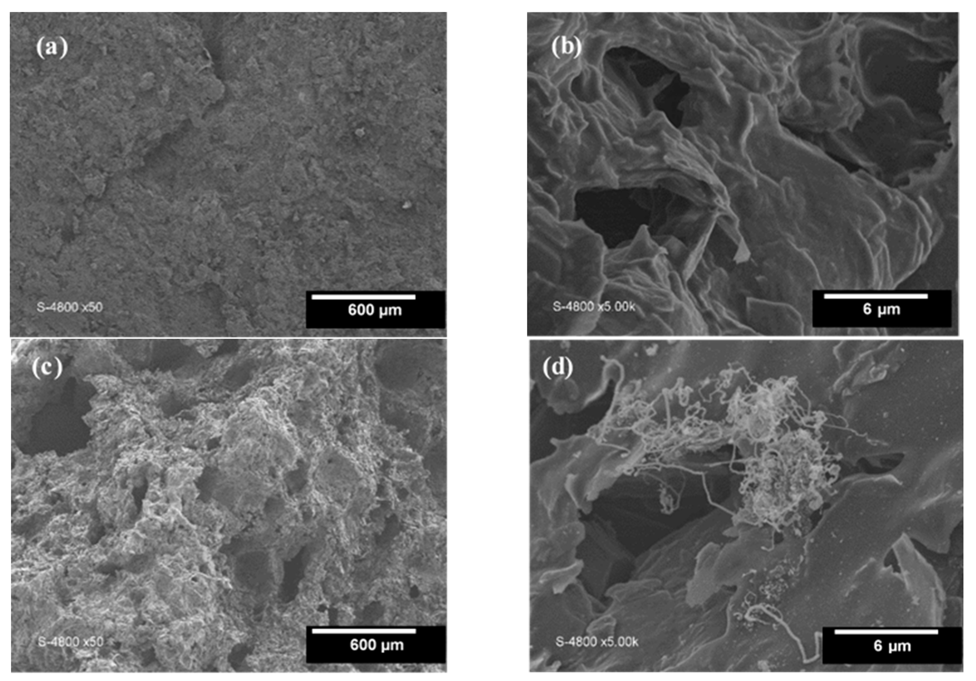 Materials 16 01015 g002 Materials 16 01015 g002