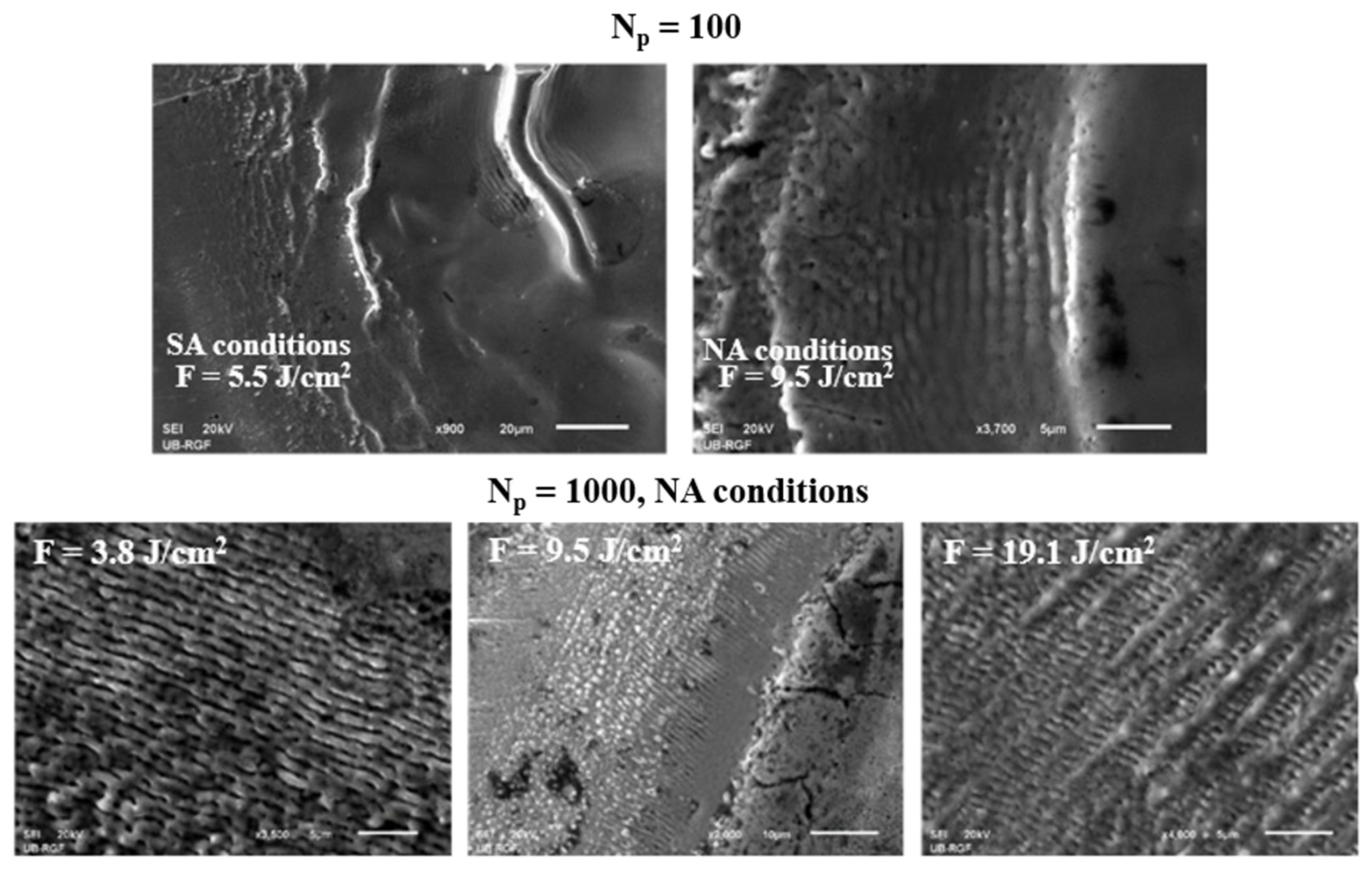 Materials 16 01021 g005 Materials 16 01021 g005