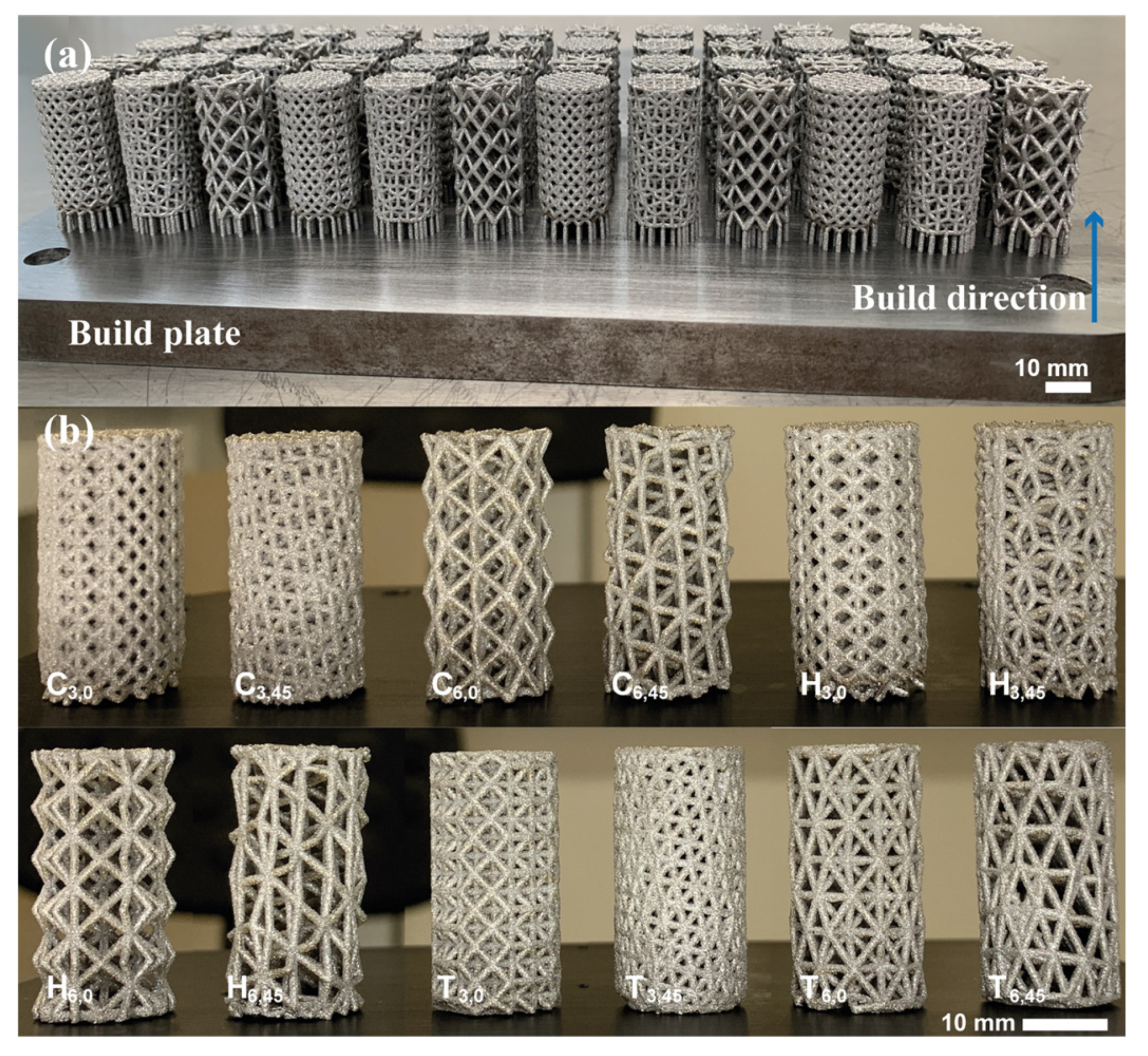 Materials 16 01025 g007