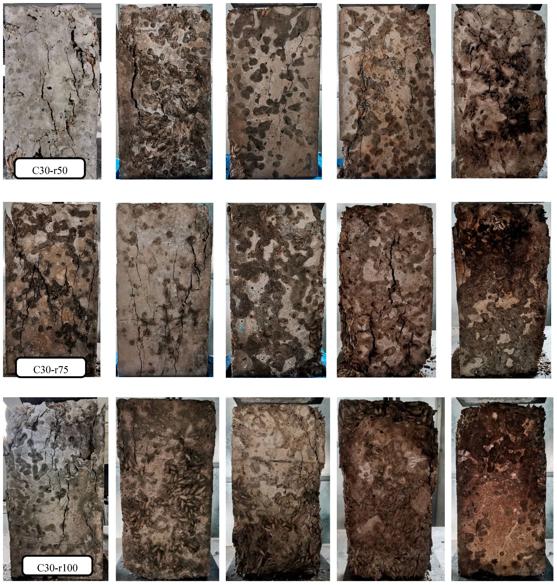 Materials 16 01037 g005b