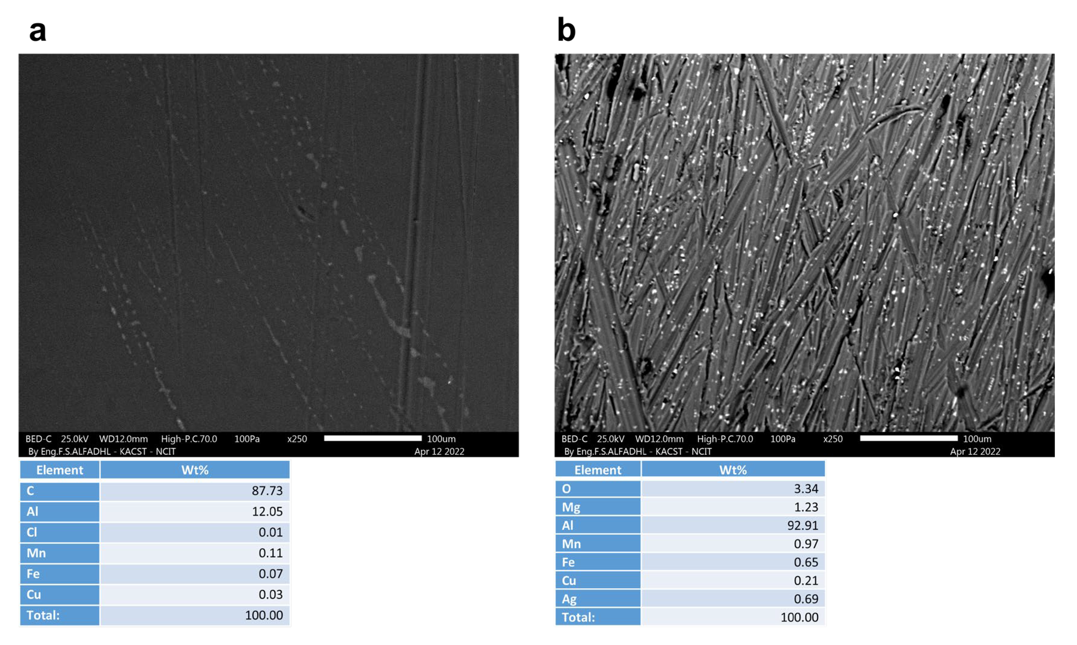 Materials 16 01041 g009
