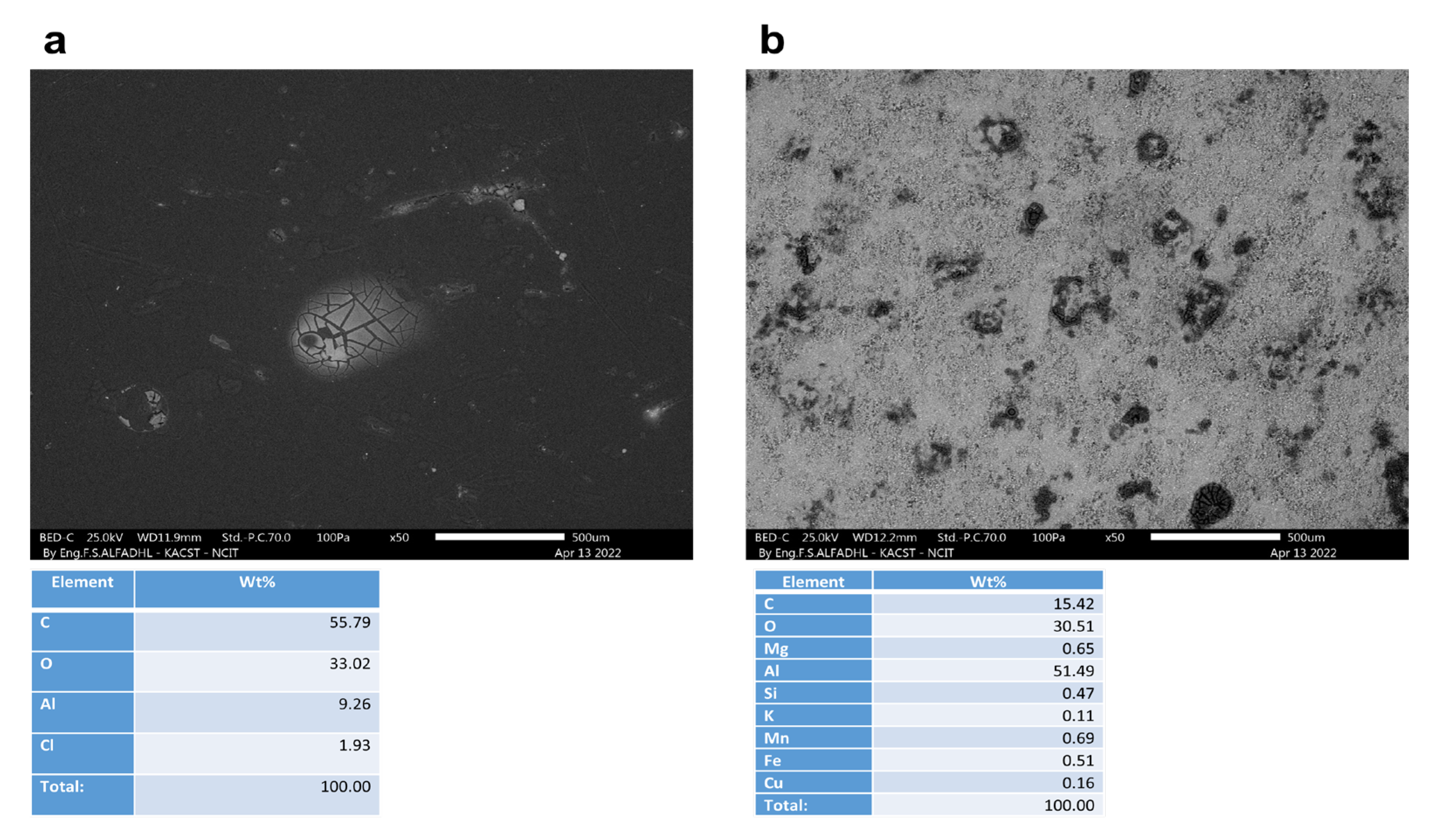 Materials 16 01041 g013