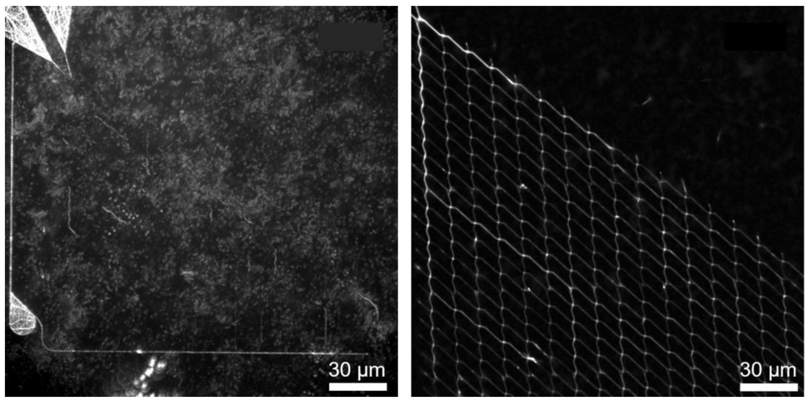 Materials 16 01046 g007 Materials 16 01046 g007