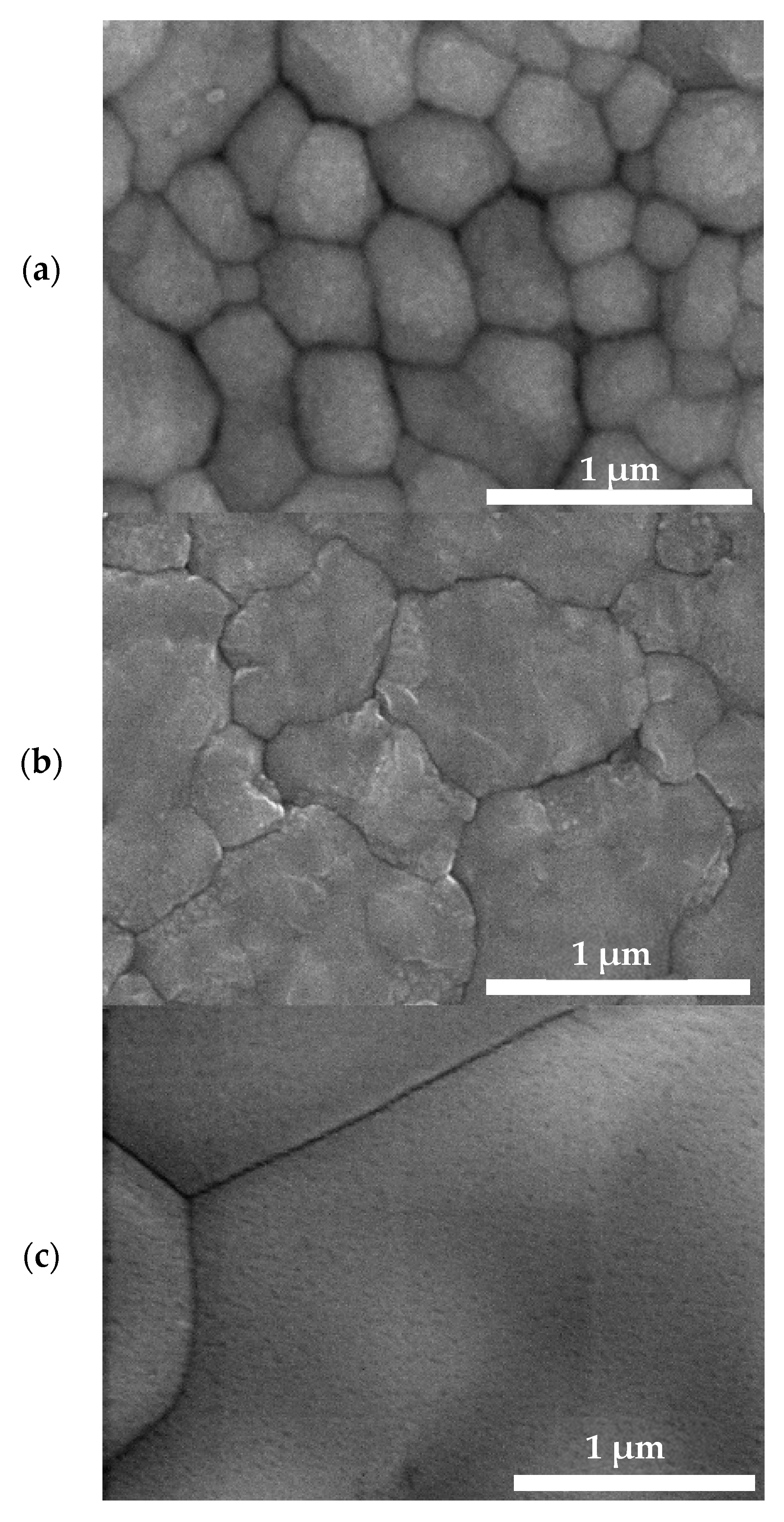 Materials 16 01049 g004