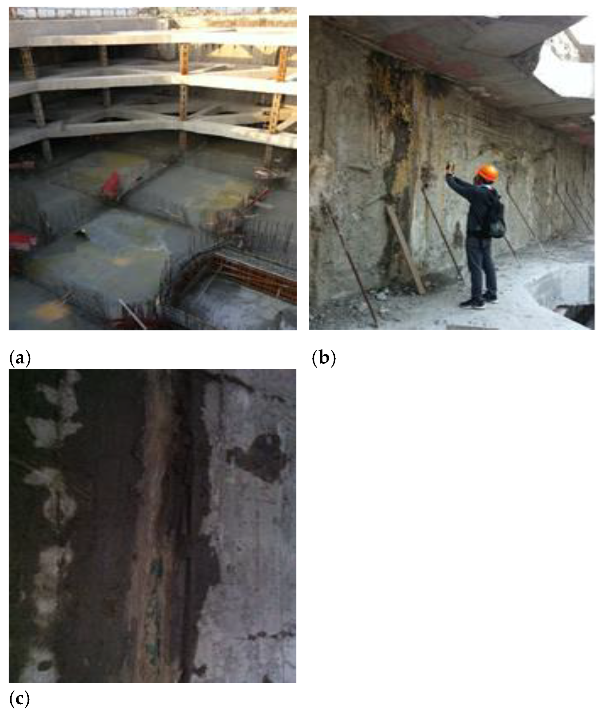 Mechanism of Detecting the Construction Quality of a Diaphragm Wall by