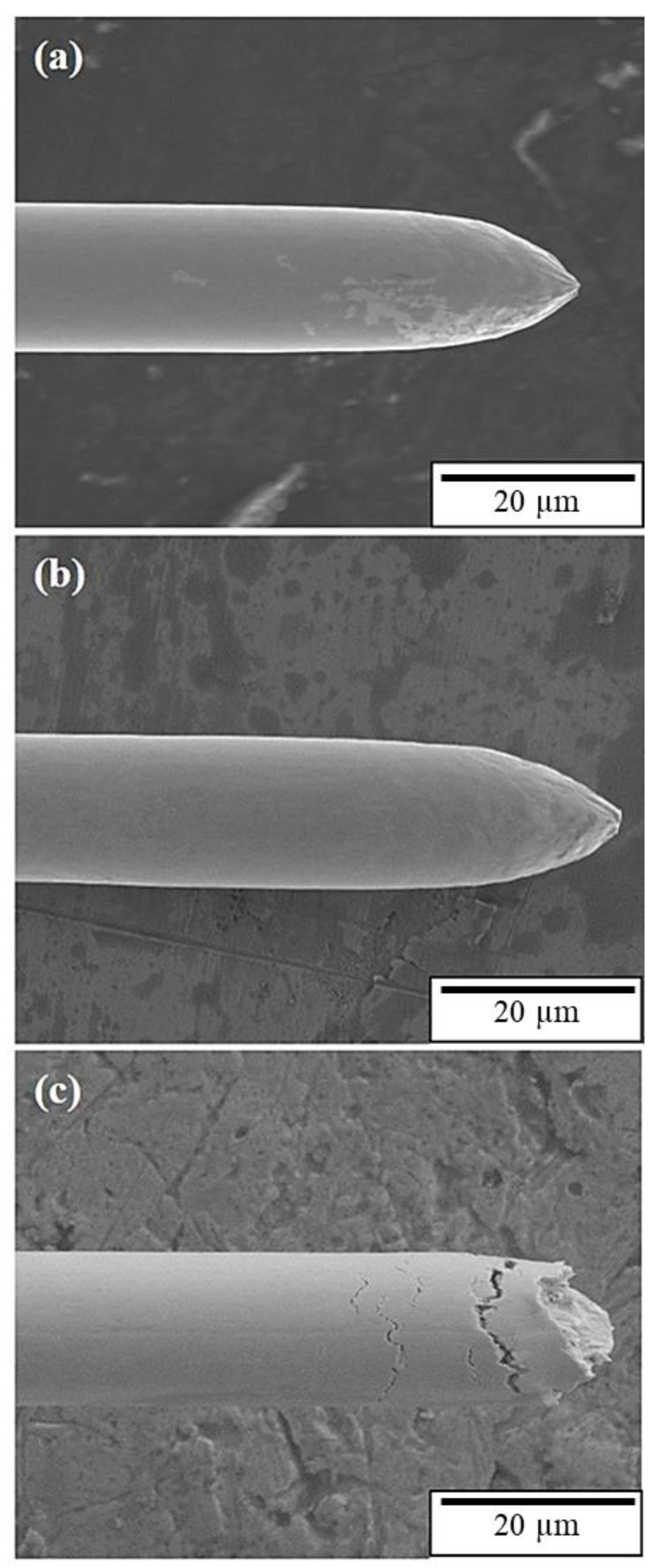 Materials 16 01066 g002