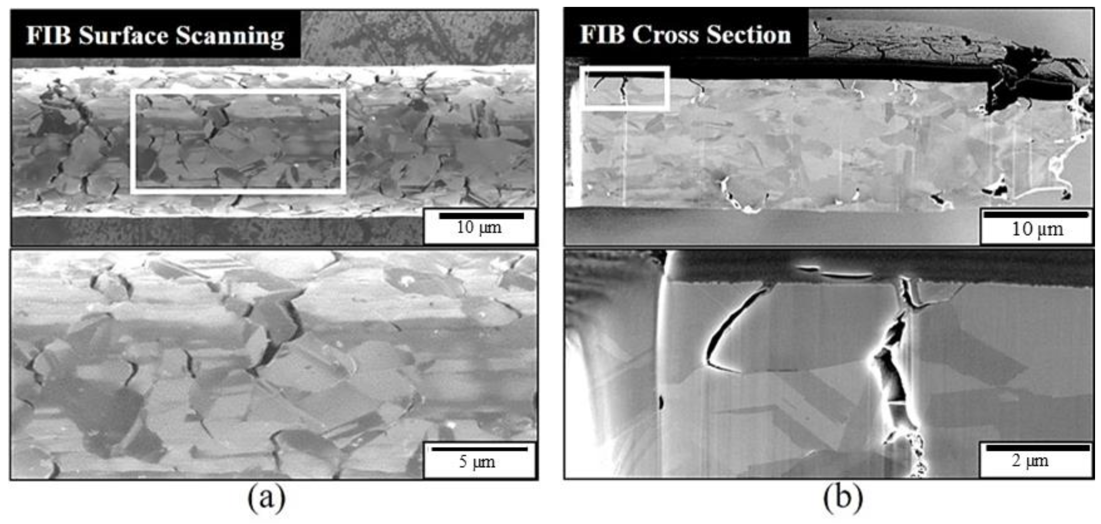 Materials 16 01066 g004