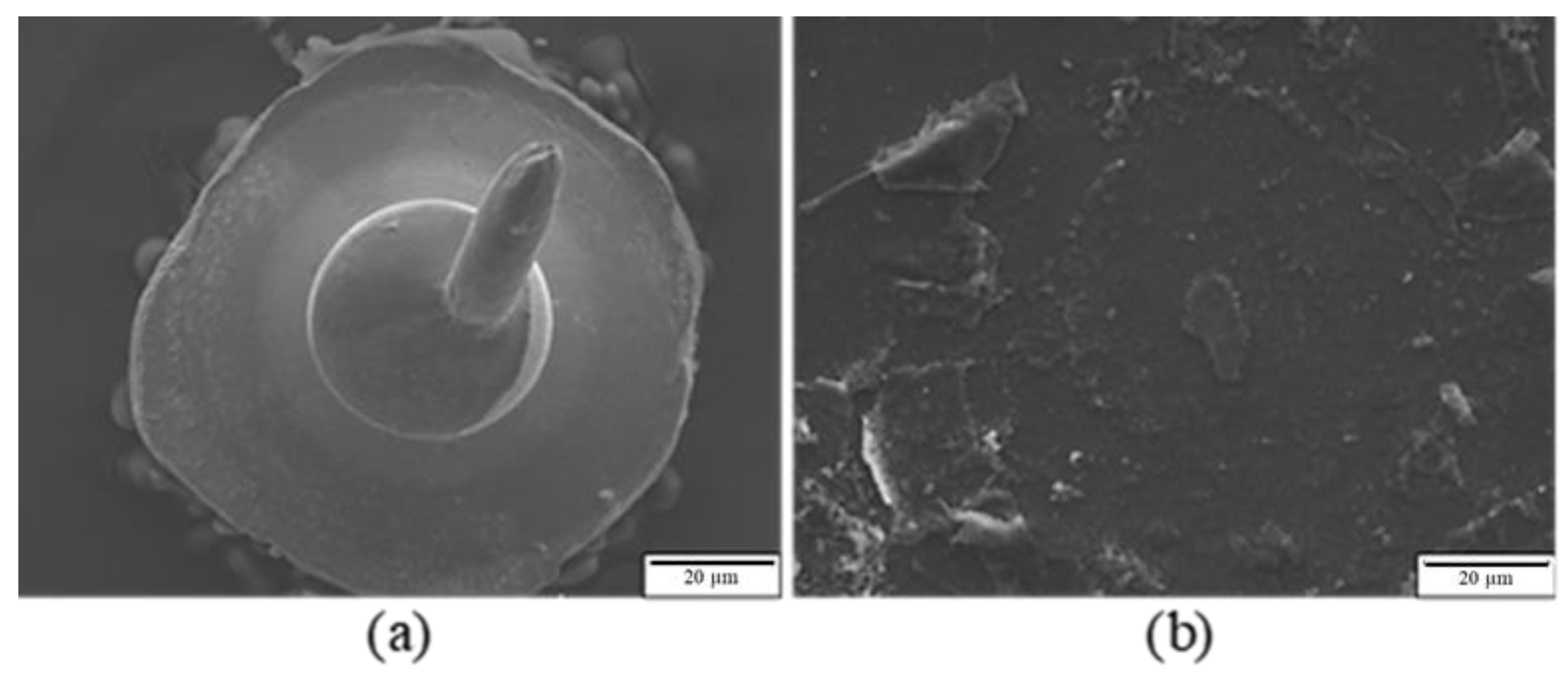 Materials 16 01066 g007