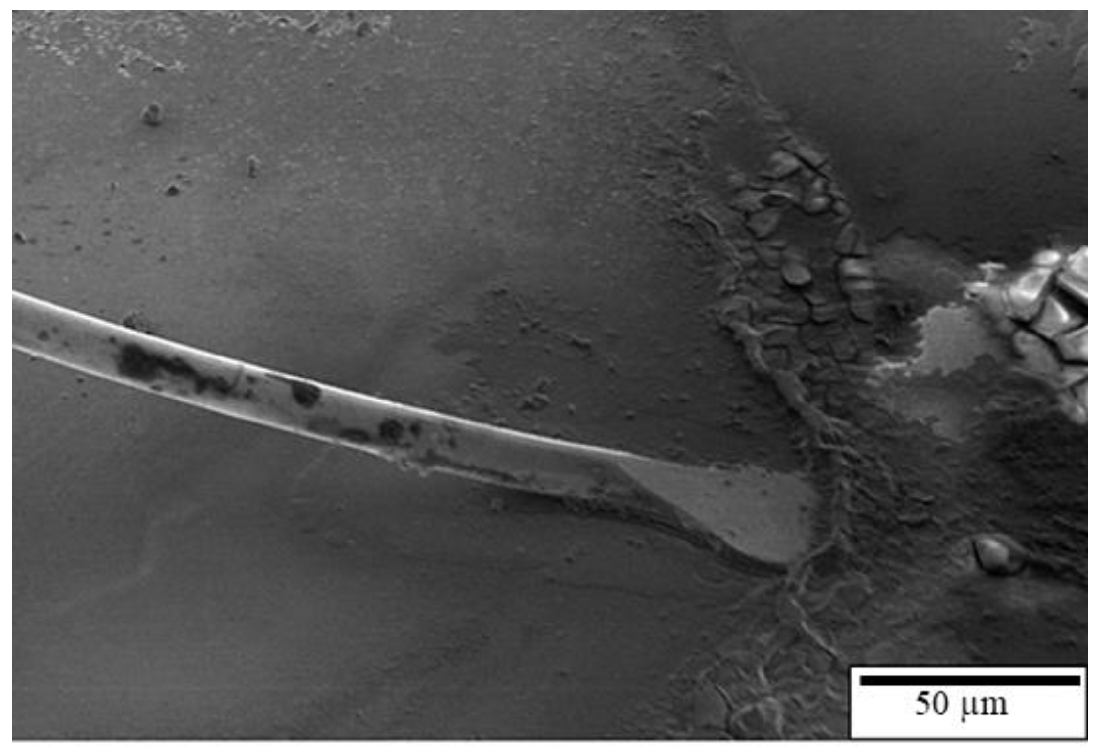 Materials 16 01066 g011