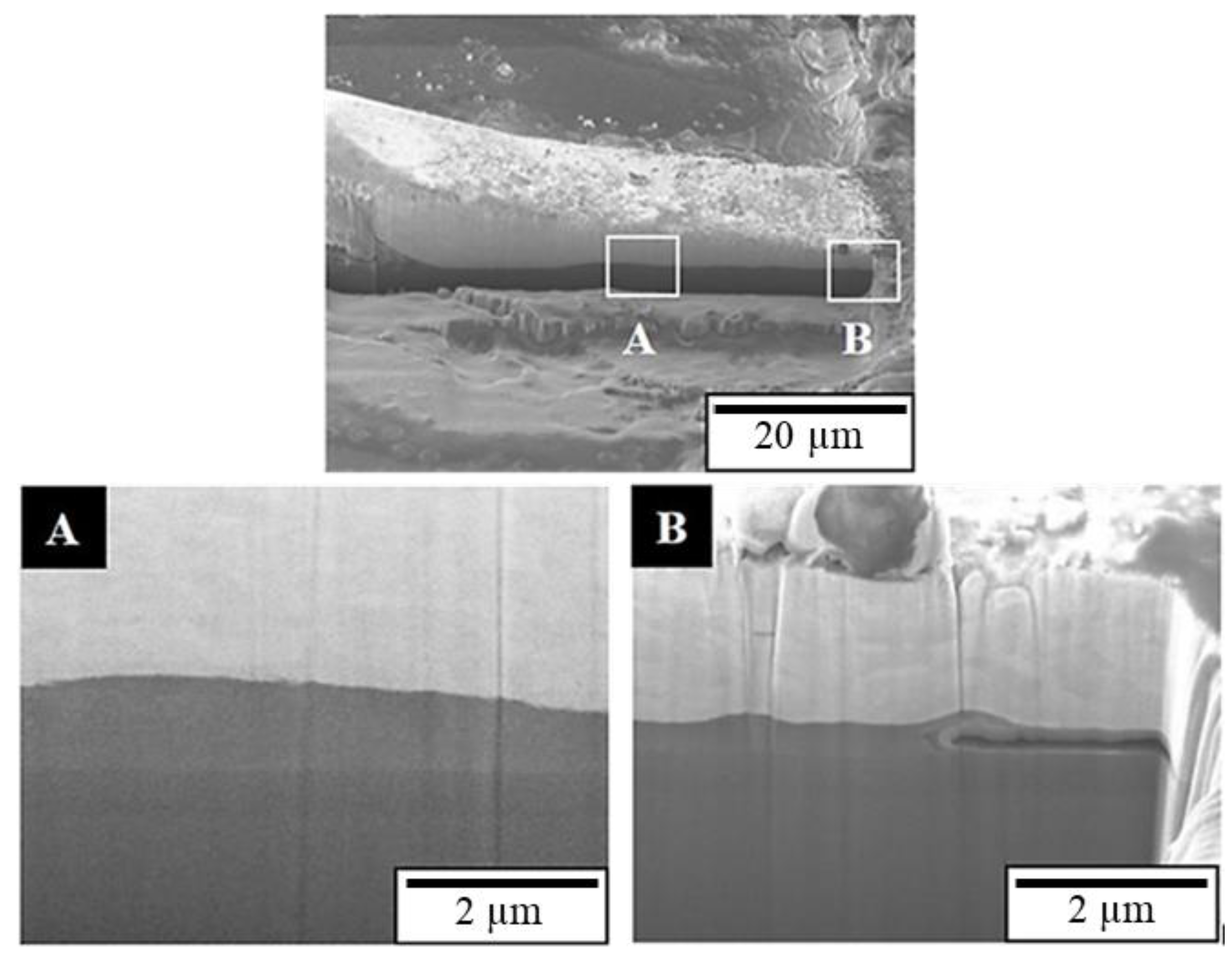 Materials 16 01066 g012