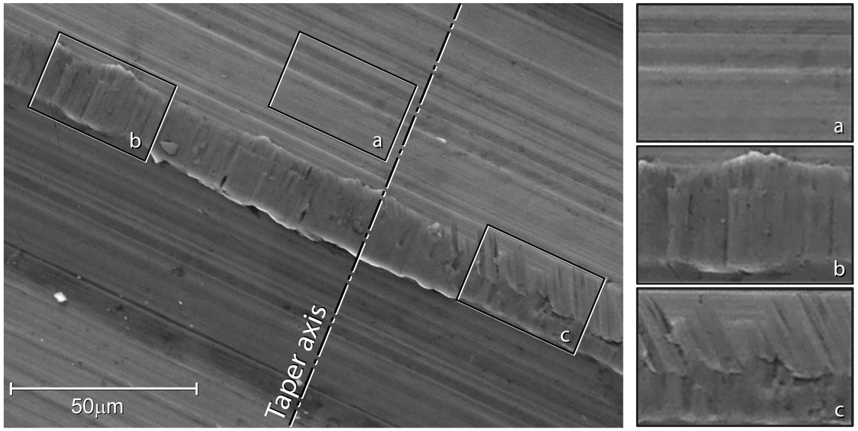 Materials 16 01067 g004