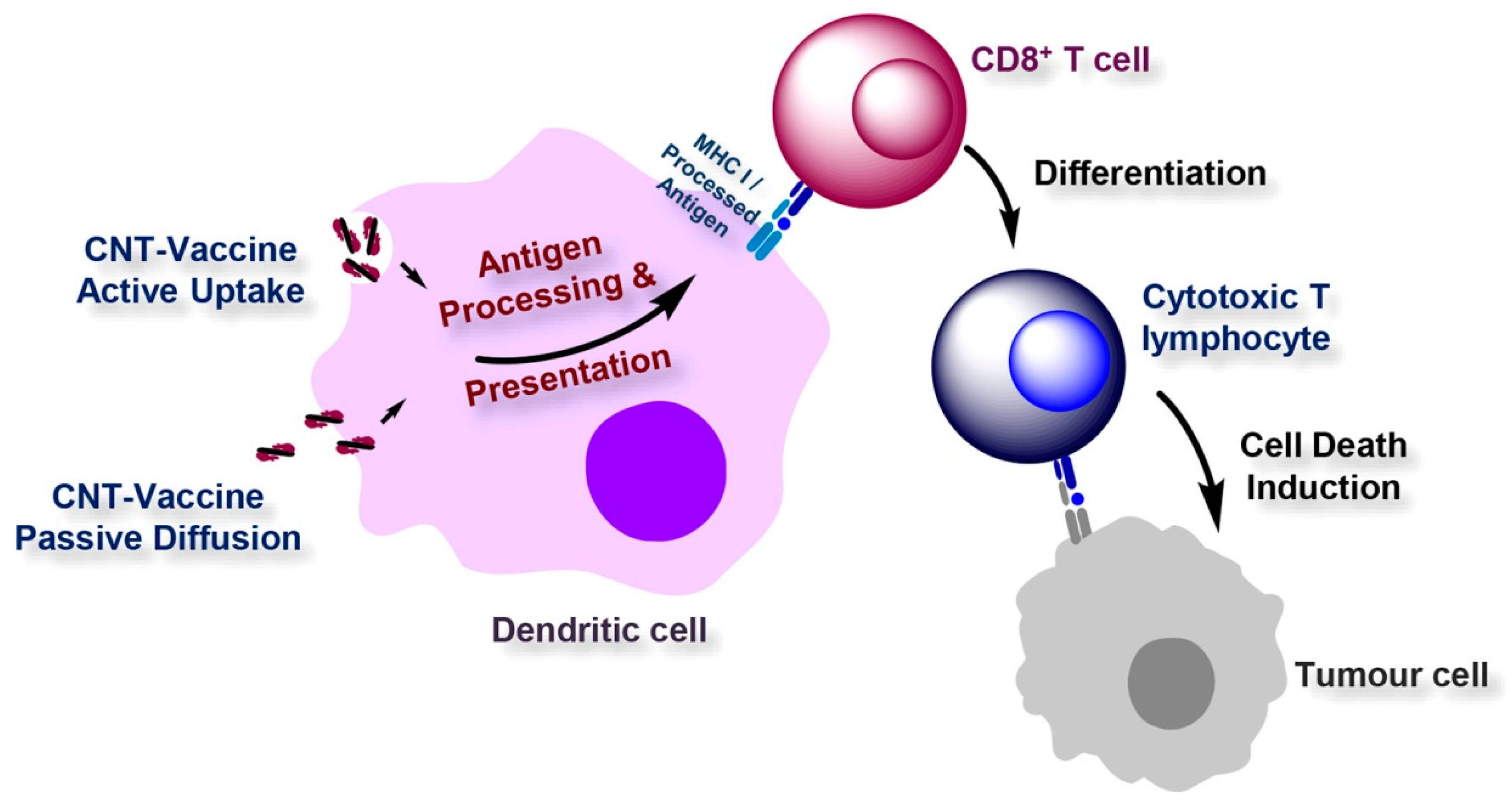 Materials 16 01068 g007