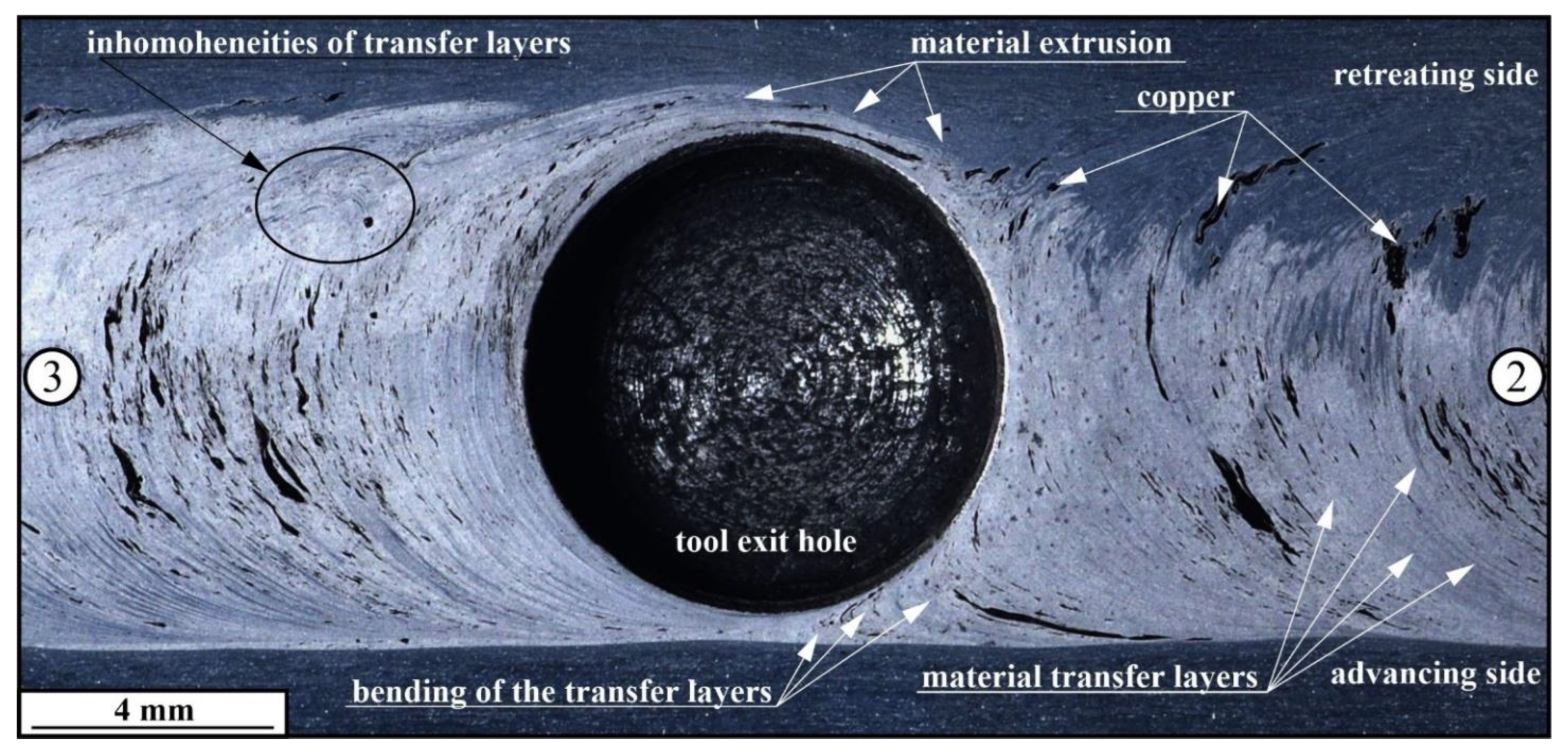 Materials 16 01070 g010