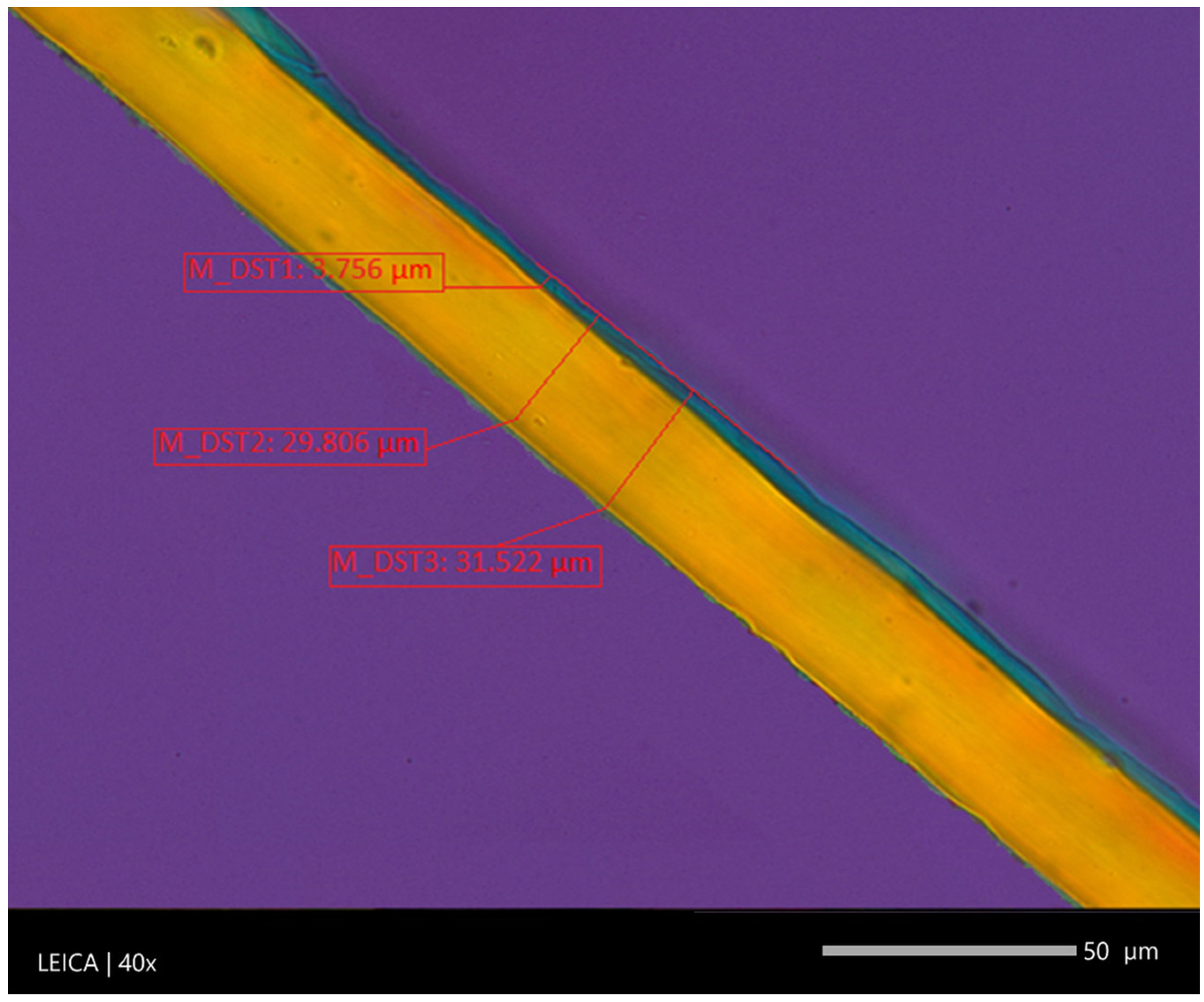 Materials 16 01071 g004 Materials 16 01071 g004