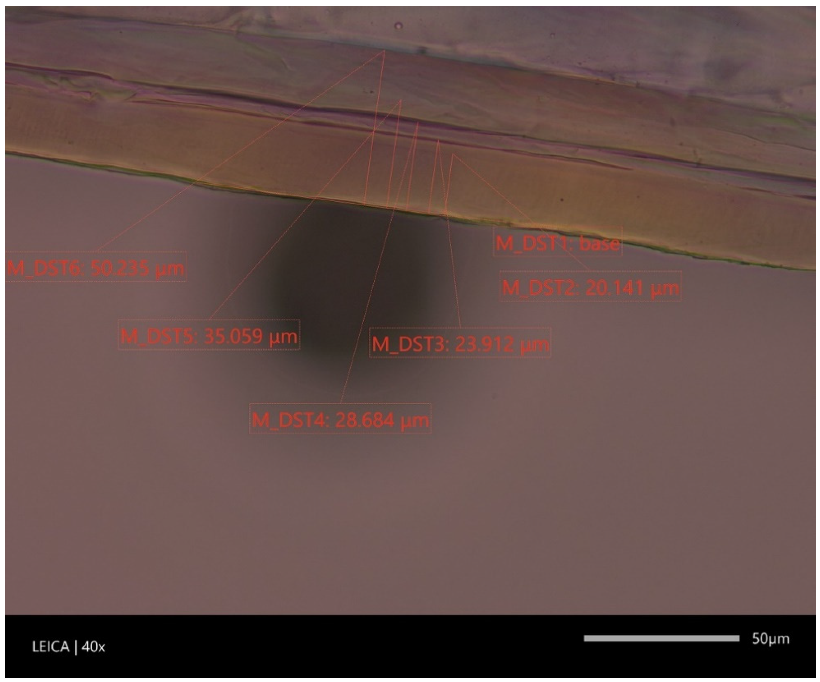Materials 16 01071 g005 Materials 16 01071 g005