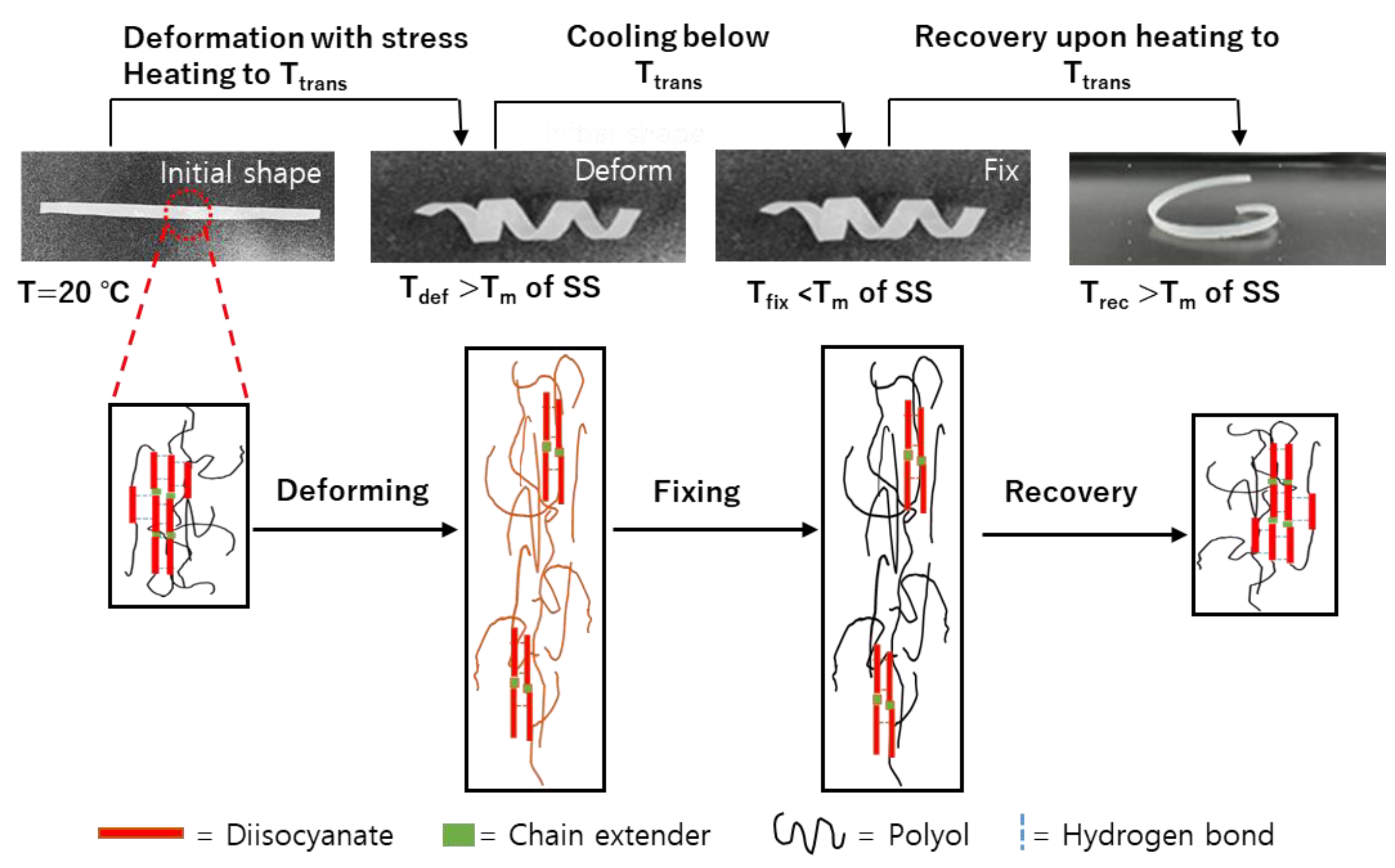 Materials 16 01072 g007 Materials 16 01072 g007
