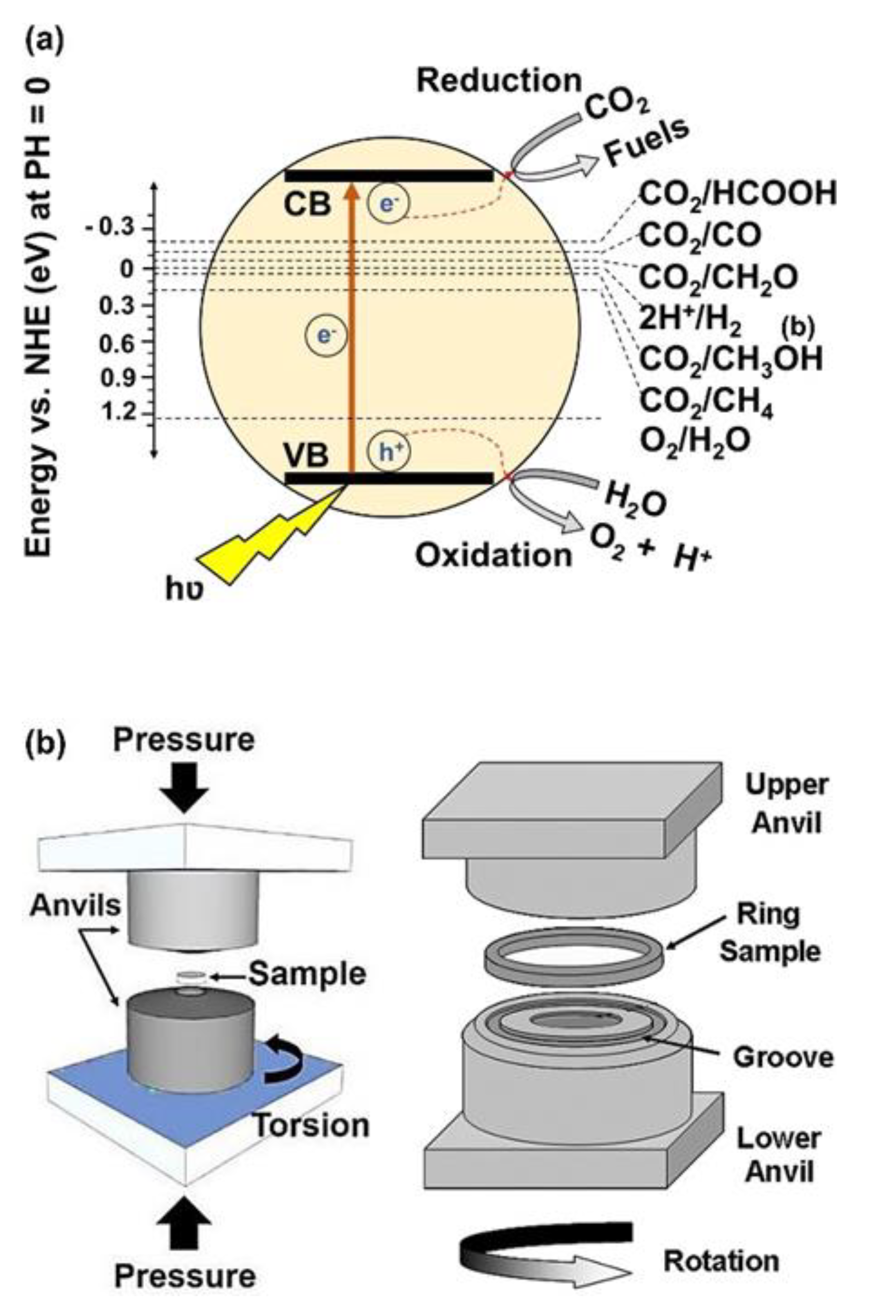 Materials 16 01081 g001