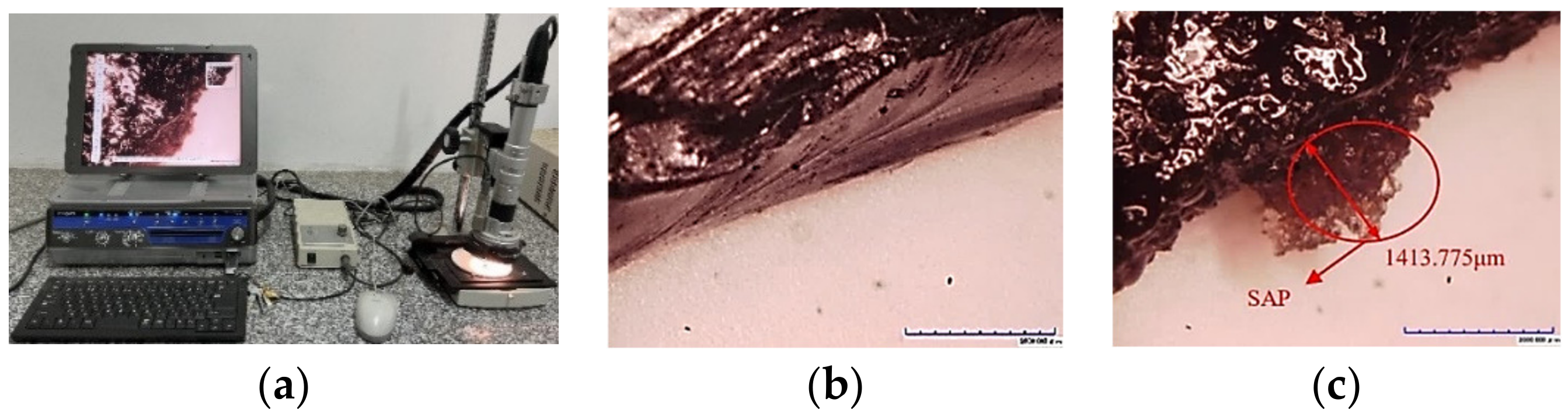 Materials 16 01082 g024