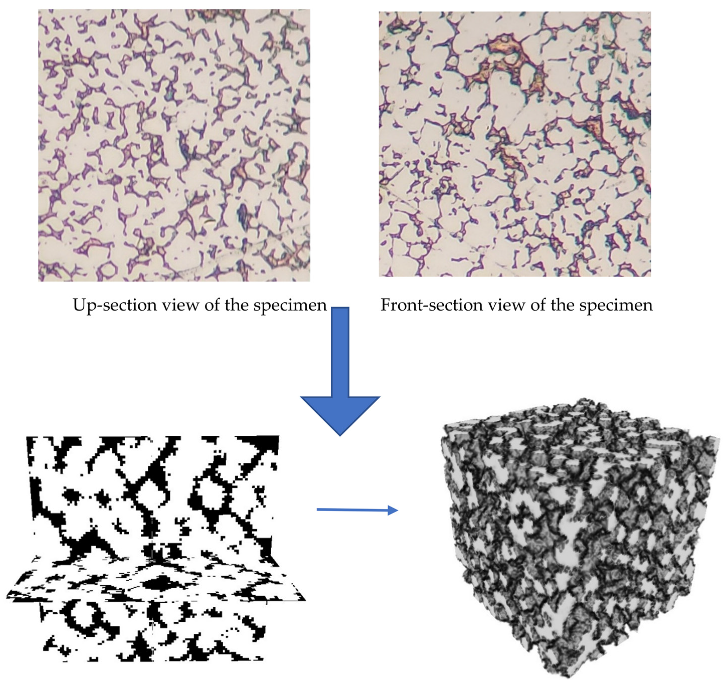 Materials 16 01088 g008 Materials 16 01088 g008