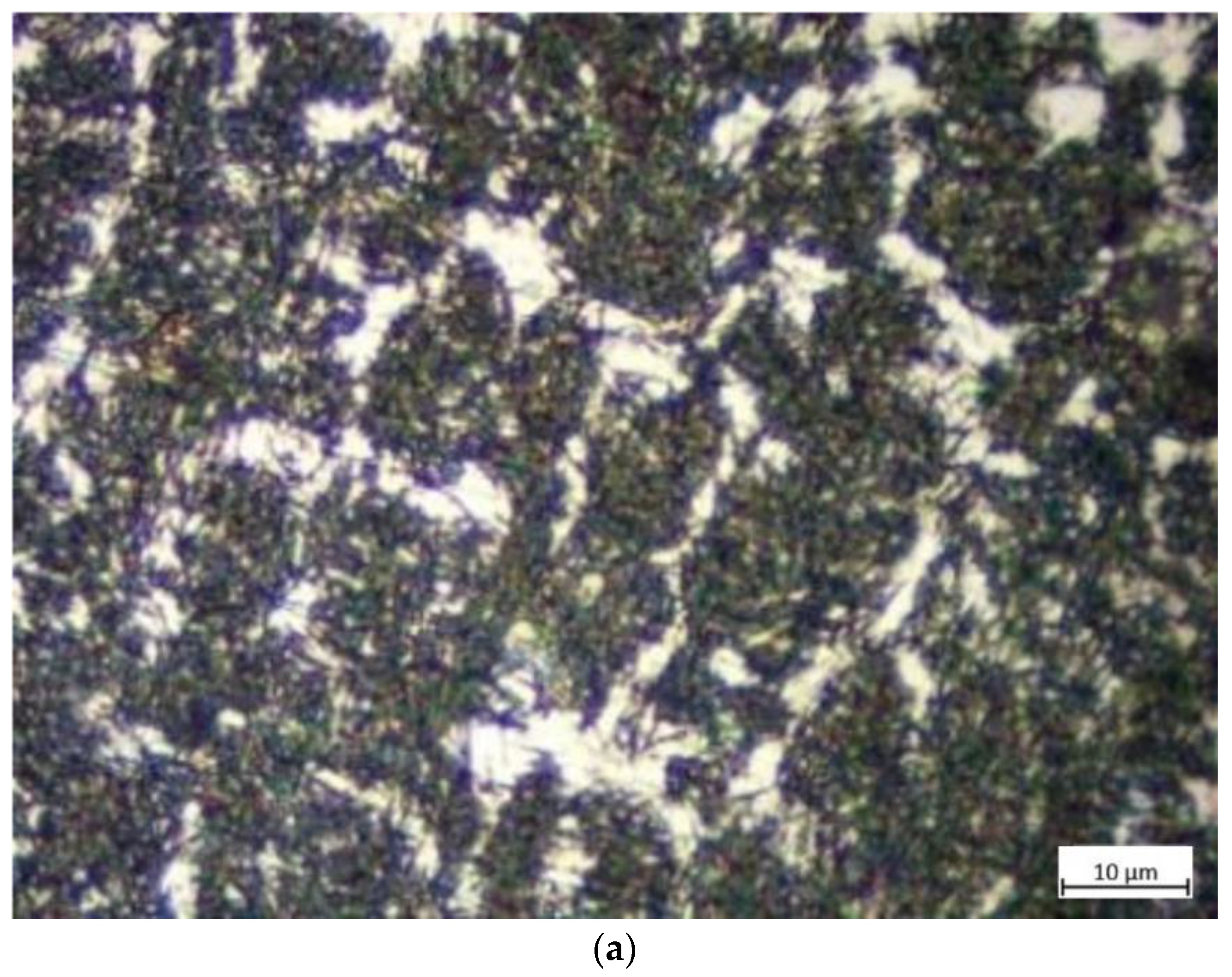 Materials 16 01093 g019a