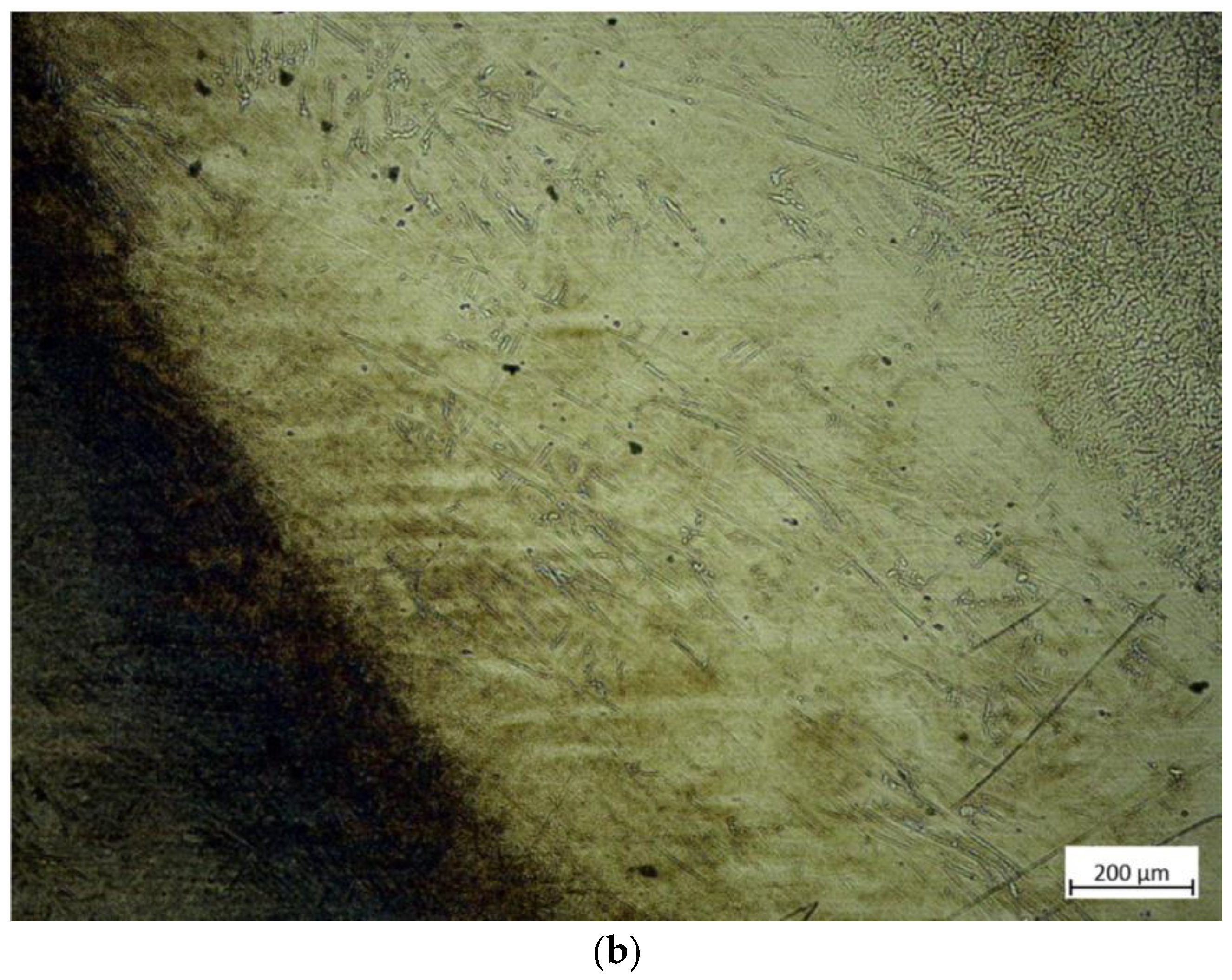 Materials 16 01093 g019b