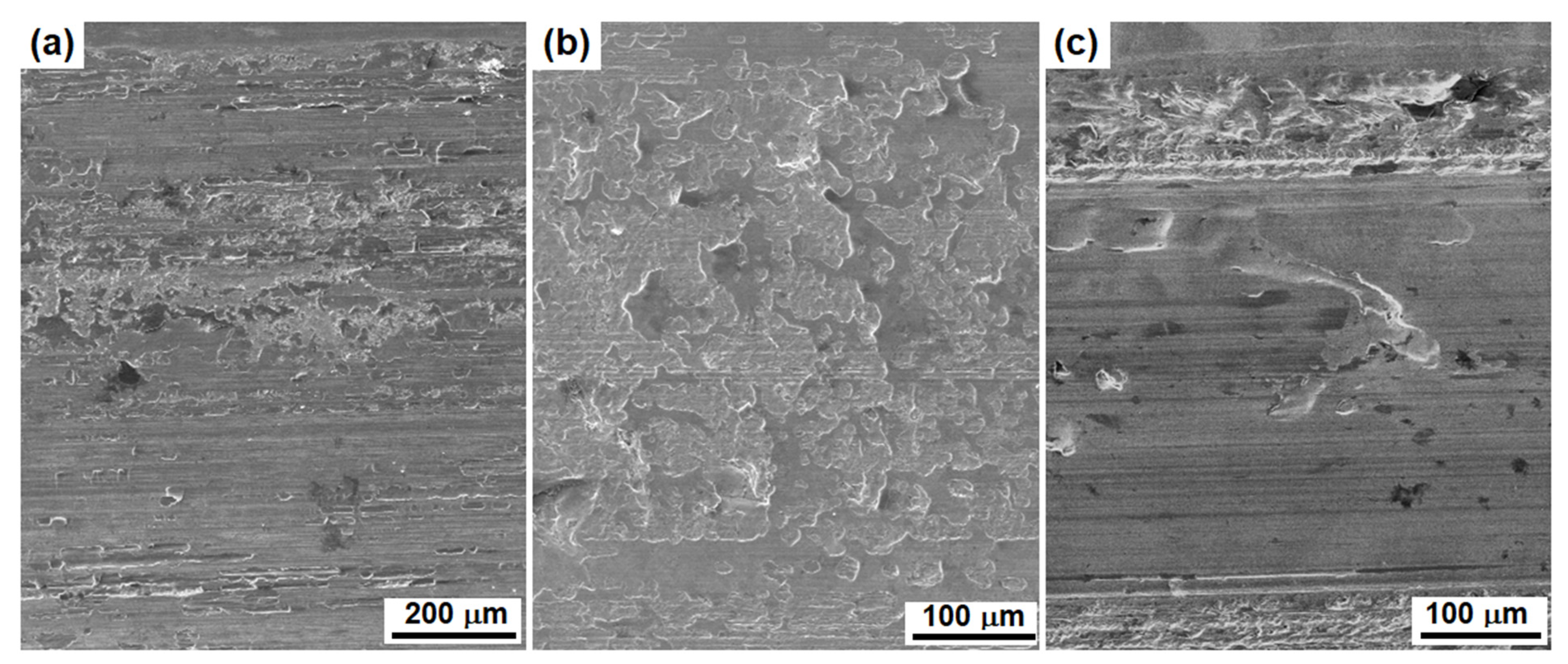 Materials 16 01117 g009 Materials 16 01117 g009